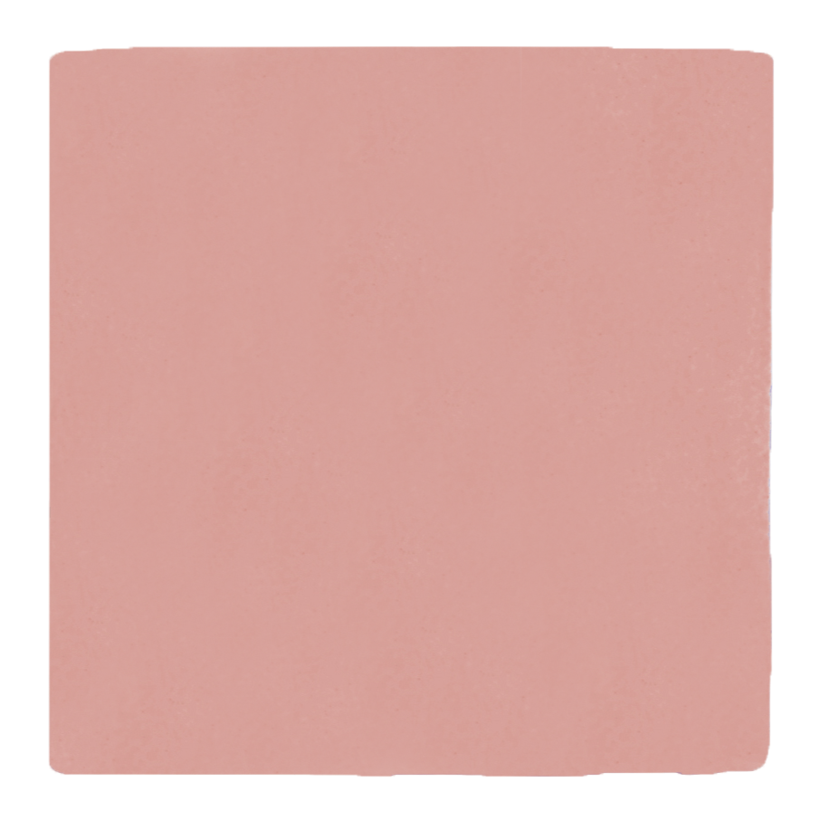 Plain Sailing Blossom