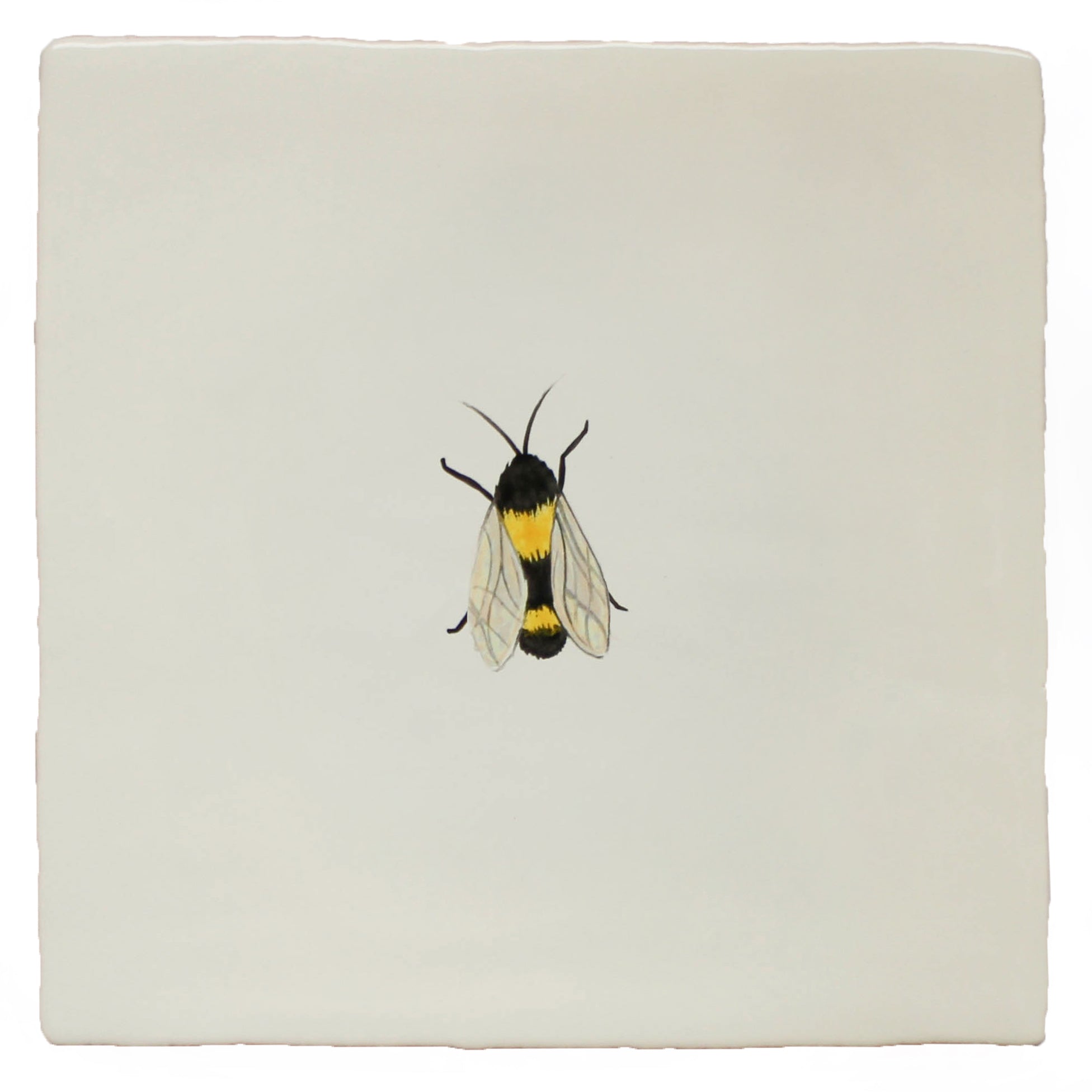 Garden Insect Resting Bee