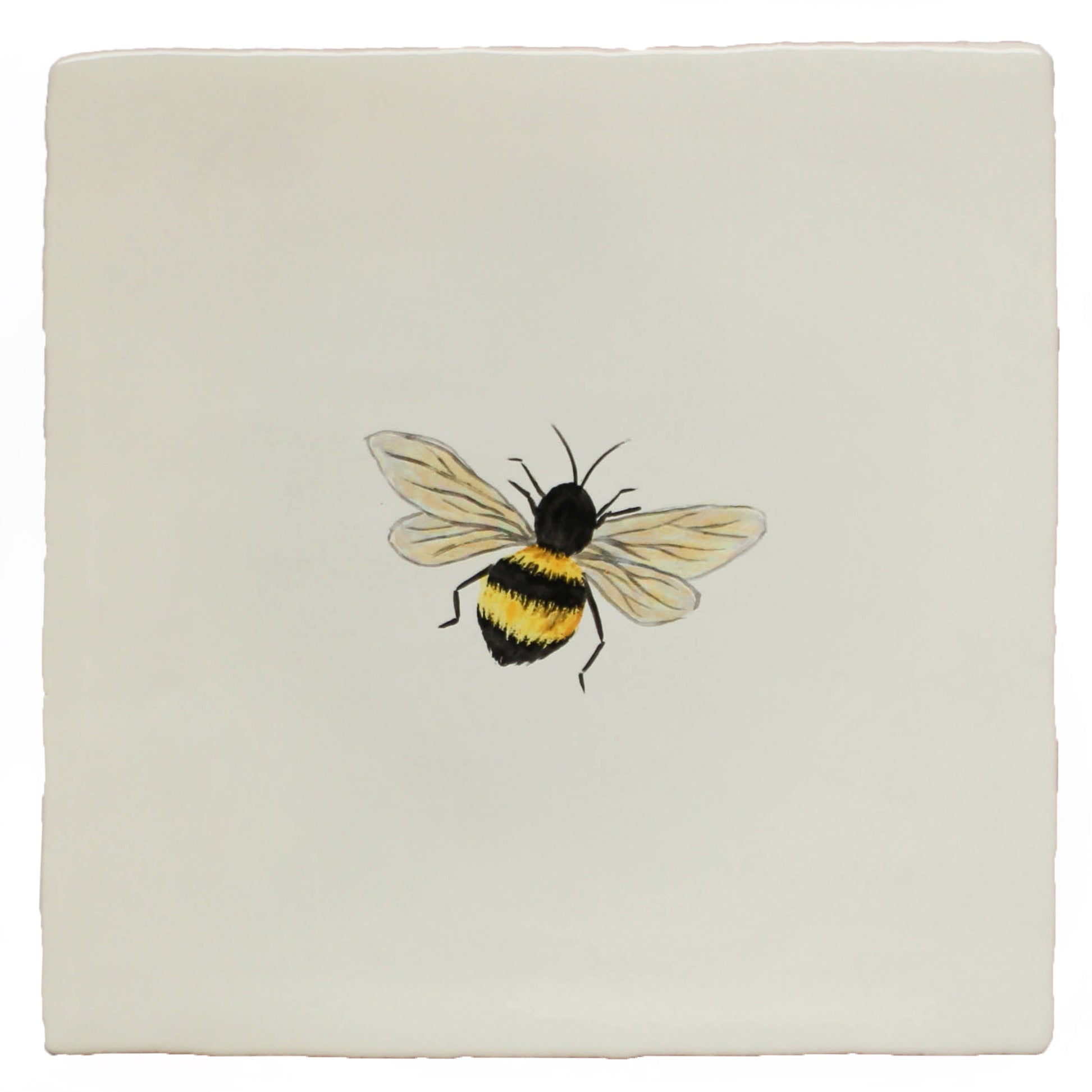 Garden Insect Flying Bee (right)
