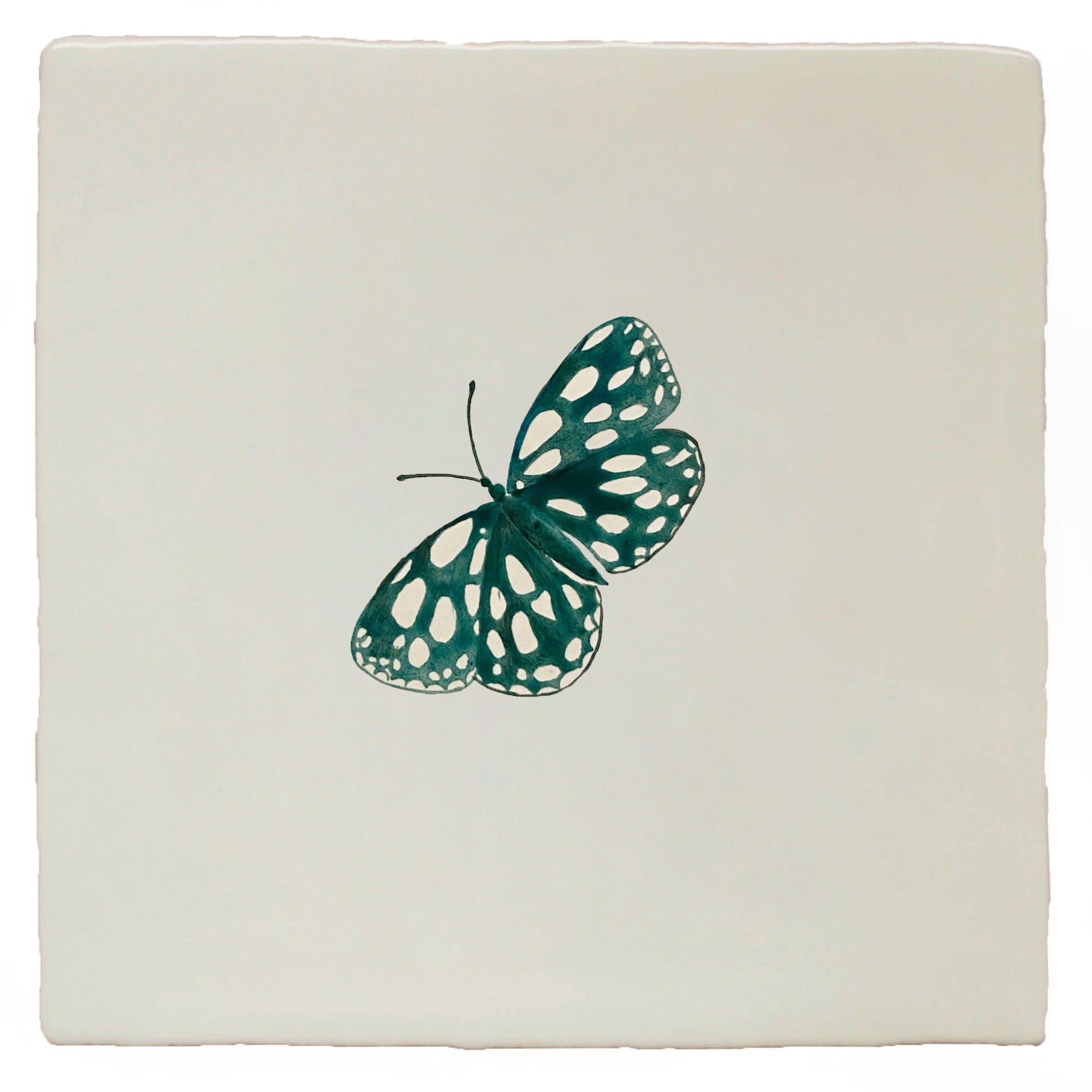 Garden Insect Marbled Butterfly (left)