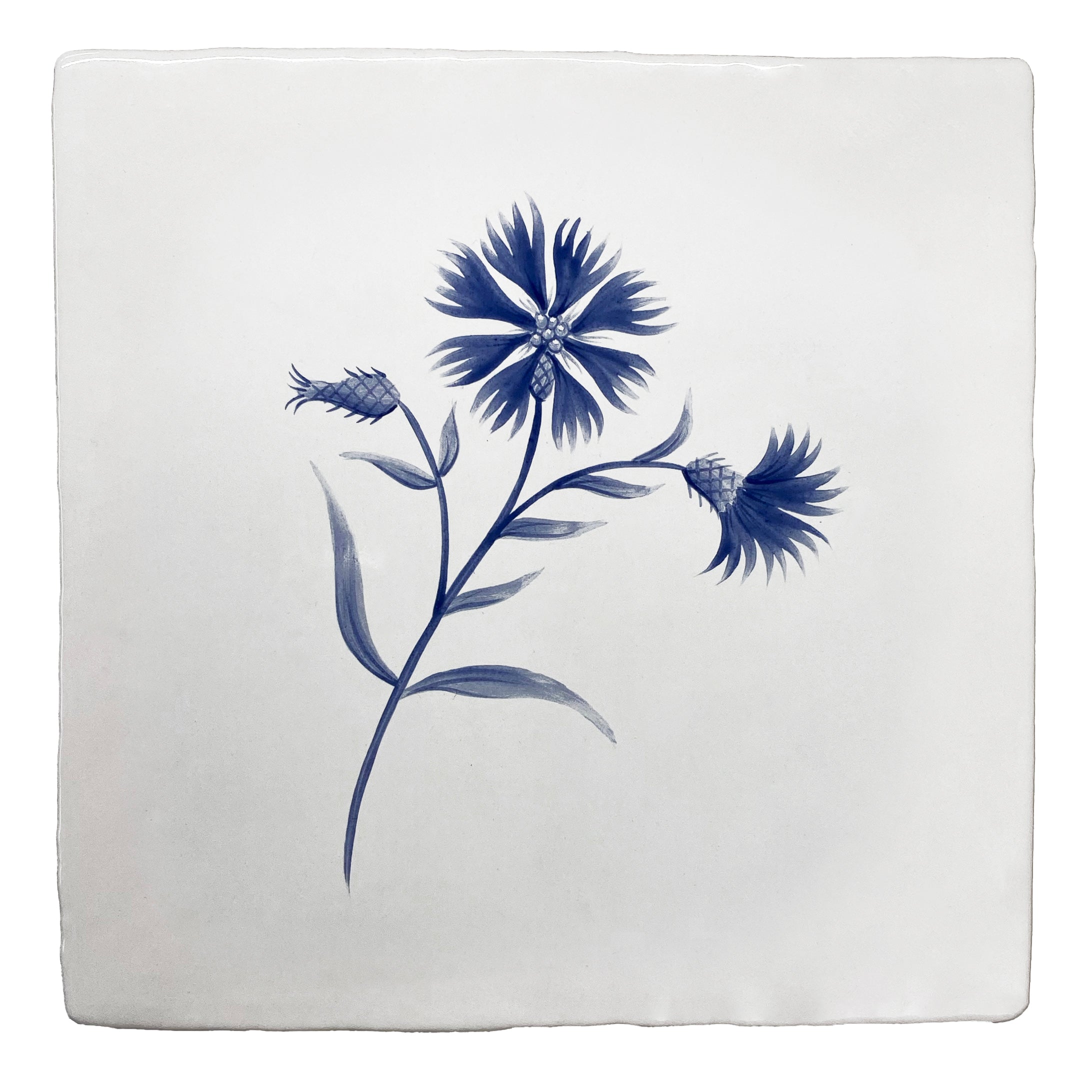 Cornish Meadow Cornflower in Blue