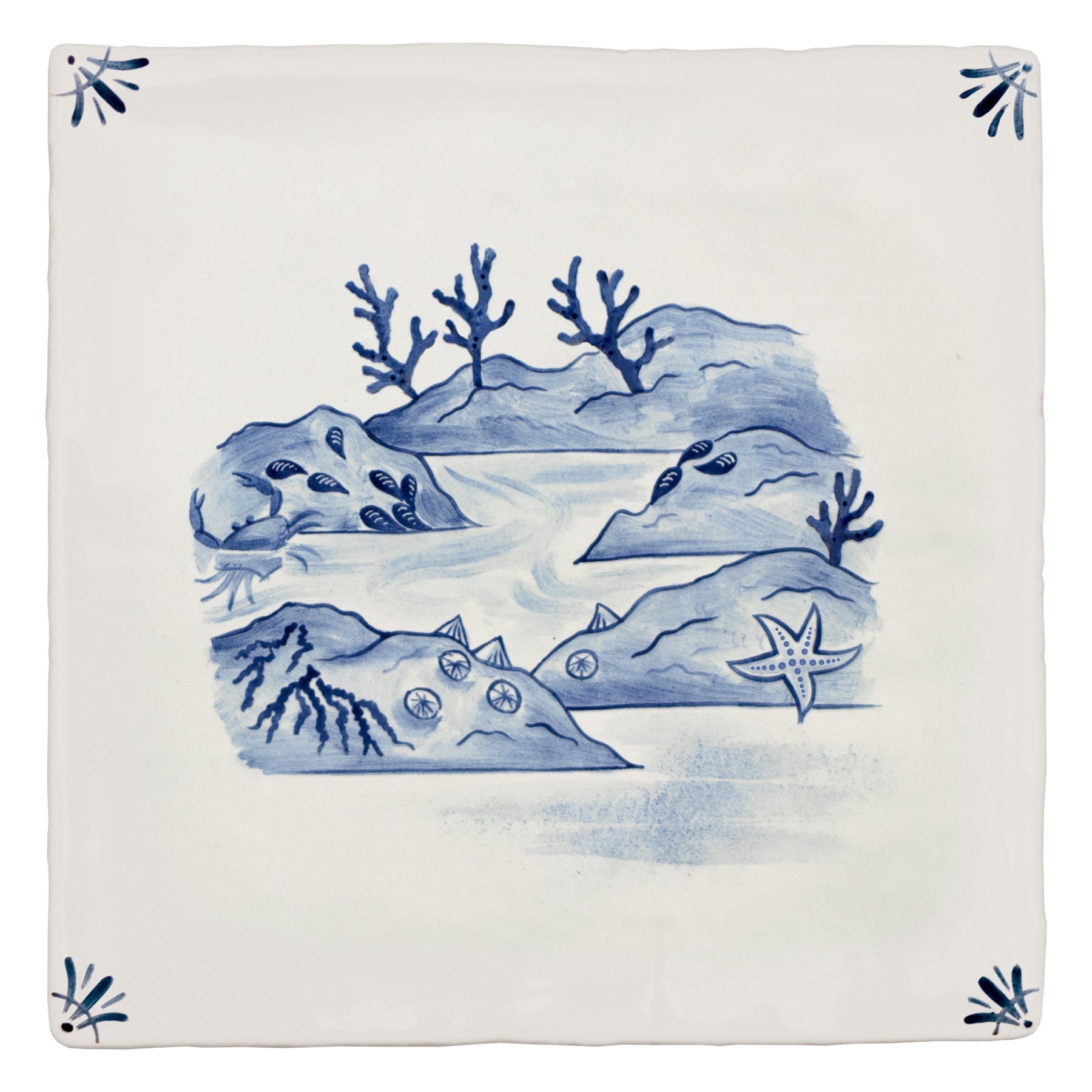 Wilderness Delft Rockpooling