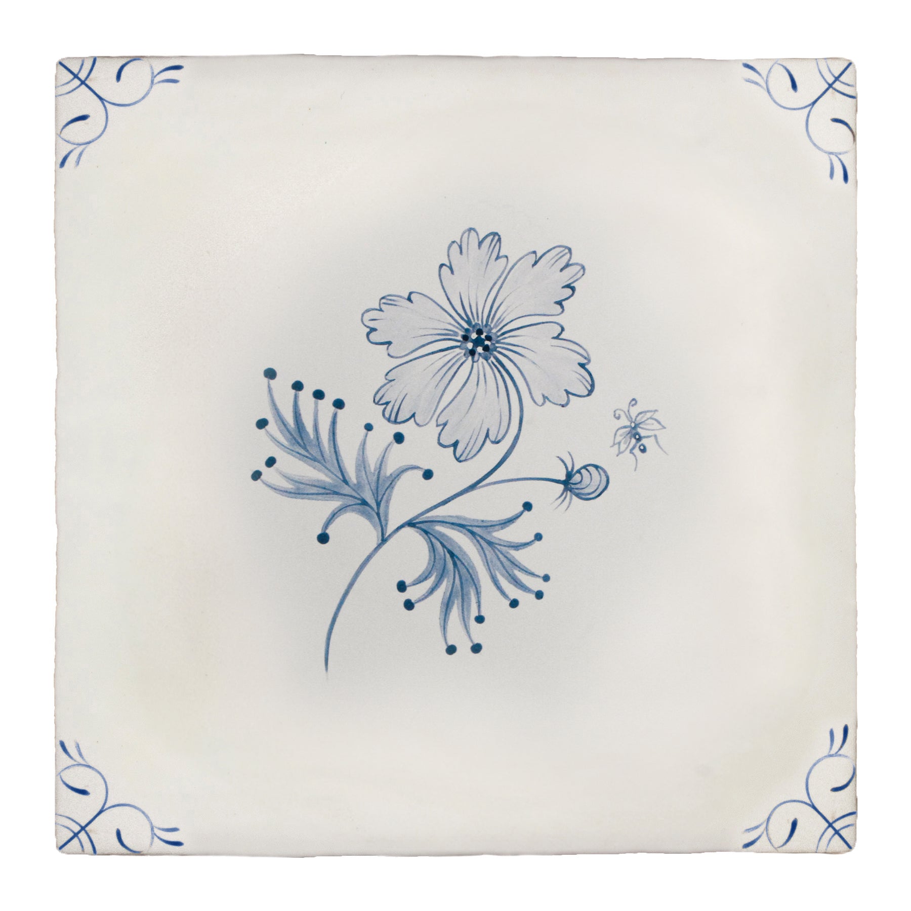 Flora Delft Cosmos