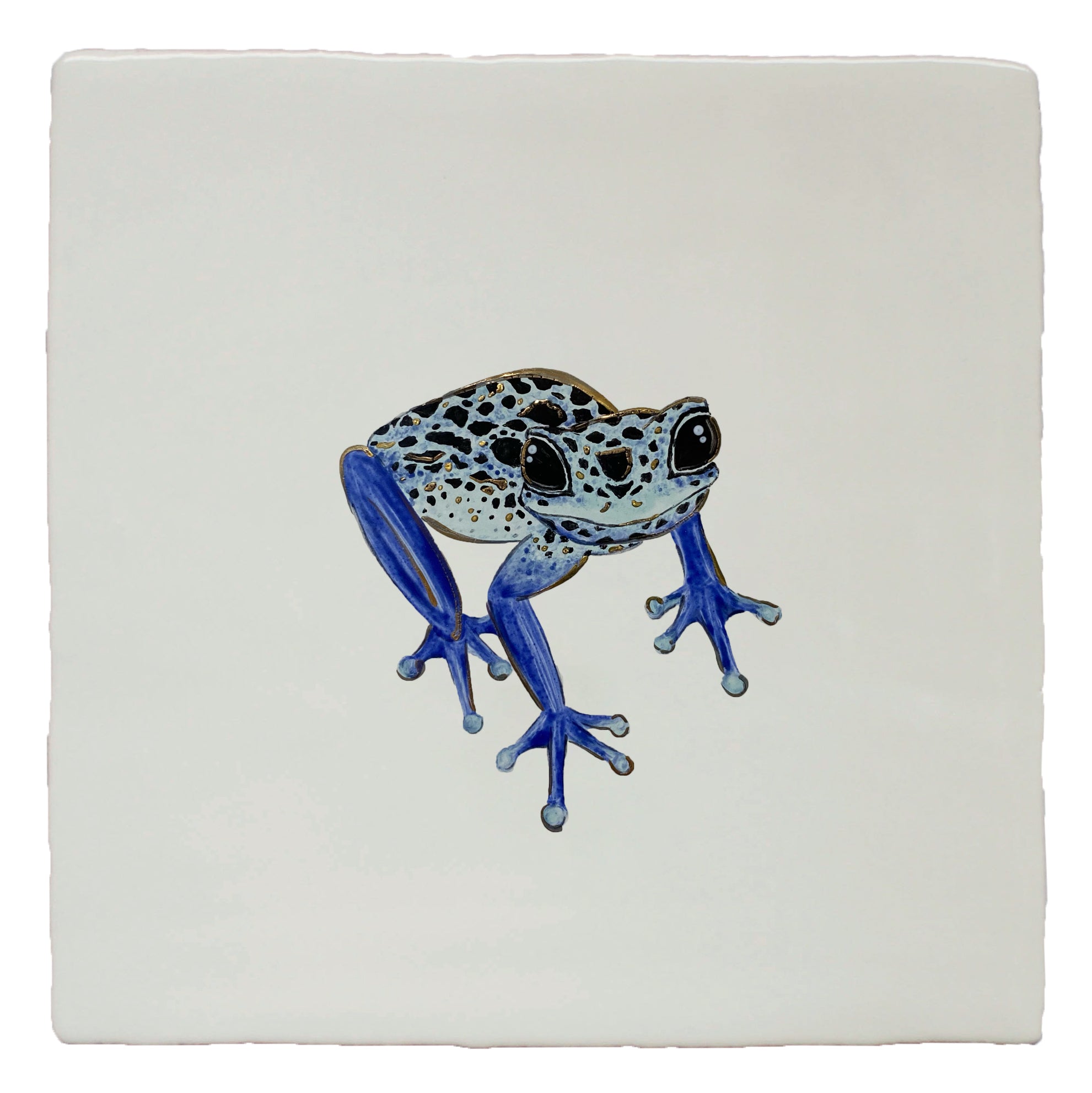 Poison Dart Frog (right)