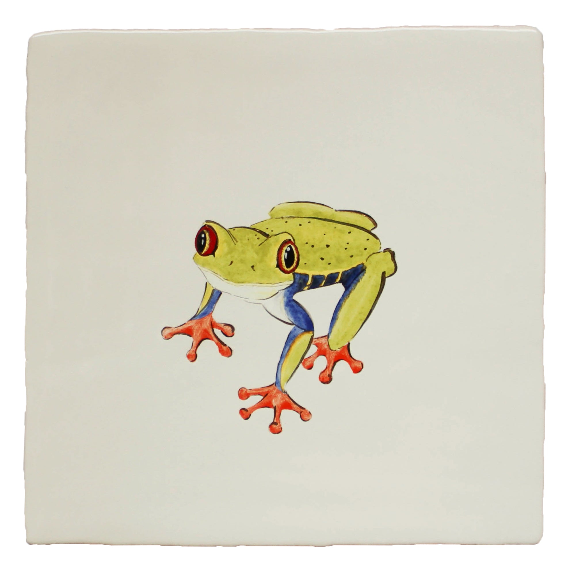 Red Eye Tree Frog (left)