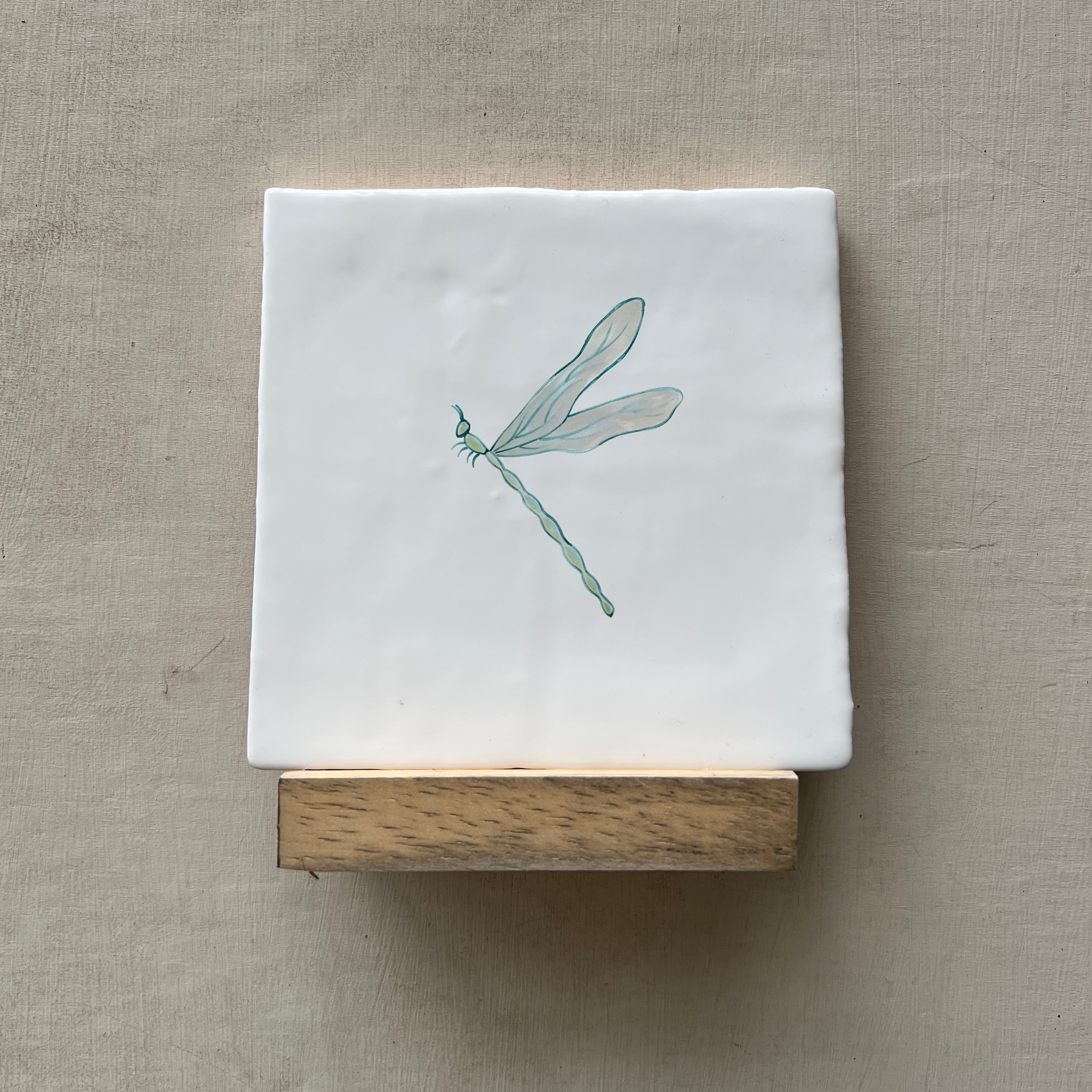 Seconds - Resting Dragonfly on Cornish (No Corners)