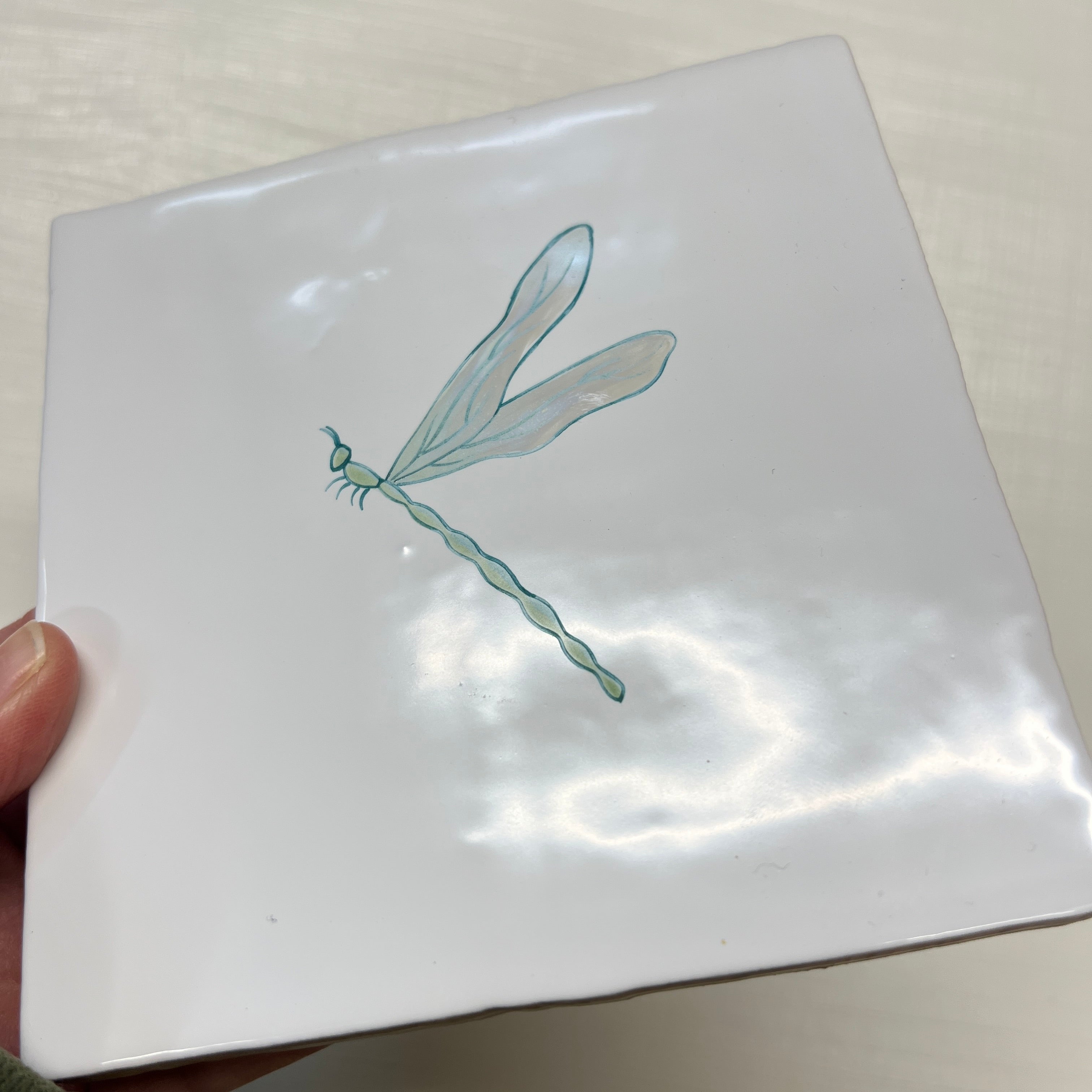 Seconds - Resting Dragonfly on Cornish (No Corners)
