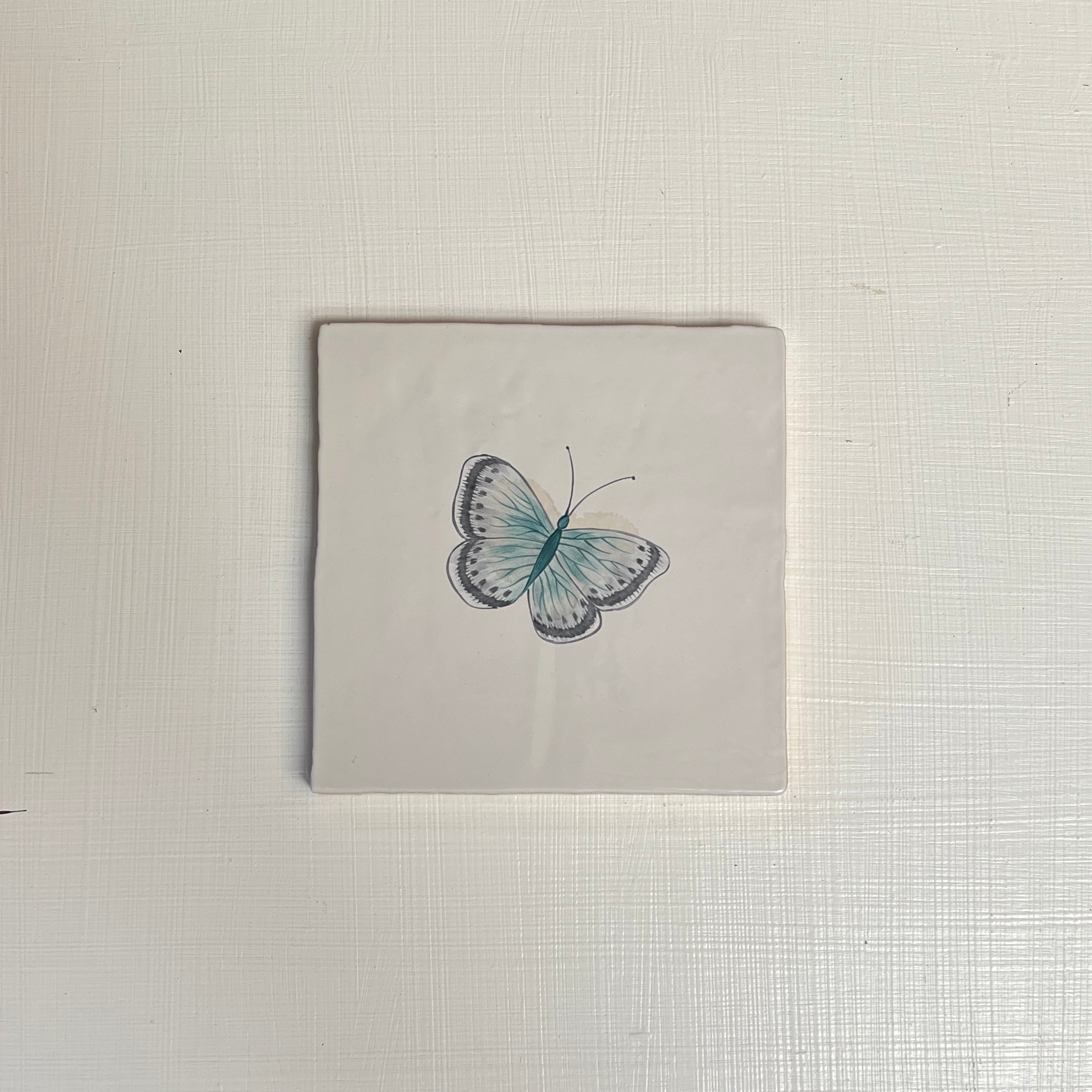 Seconds - Garden Insect Chalk Blue Butterfly on English (Right)