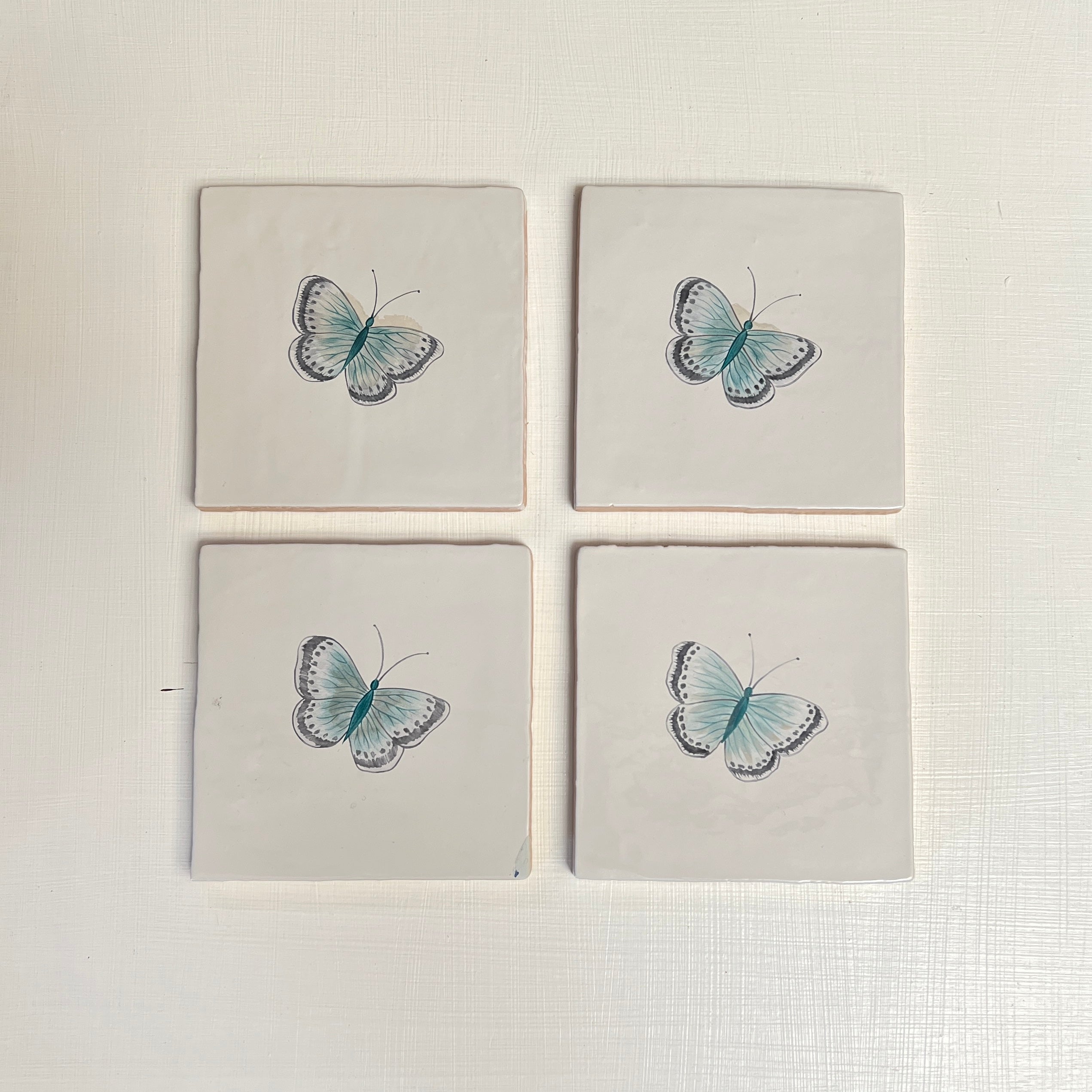 Seconds - Garden Insect Chalk Blue Butterfly on English (Right)