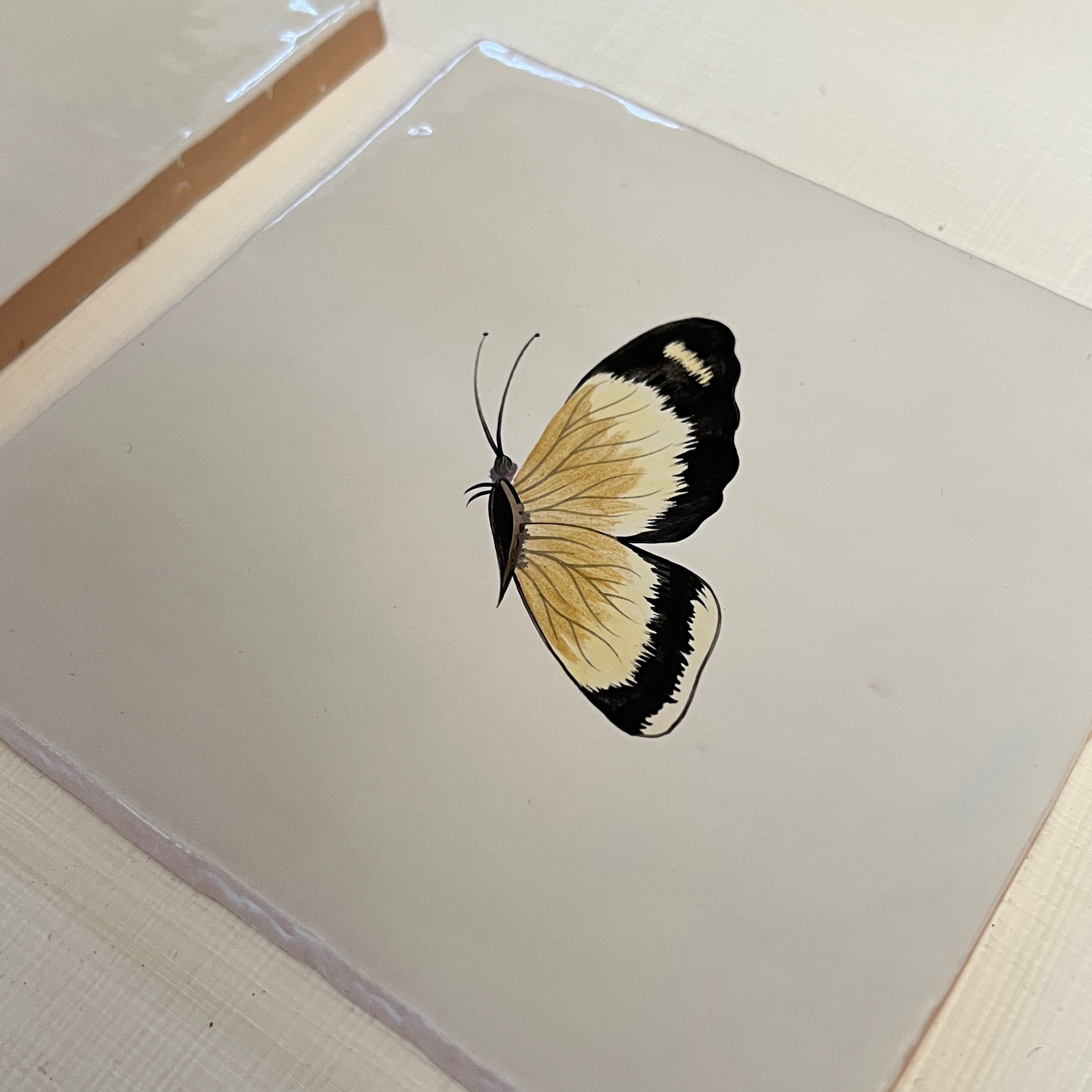 Seconds - Set of 2 Cloud Yellow Butterfly on English (Left)