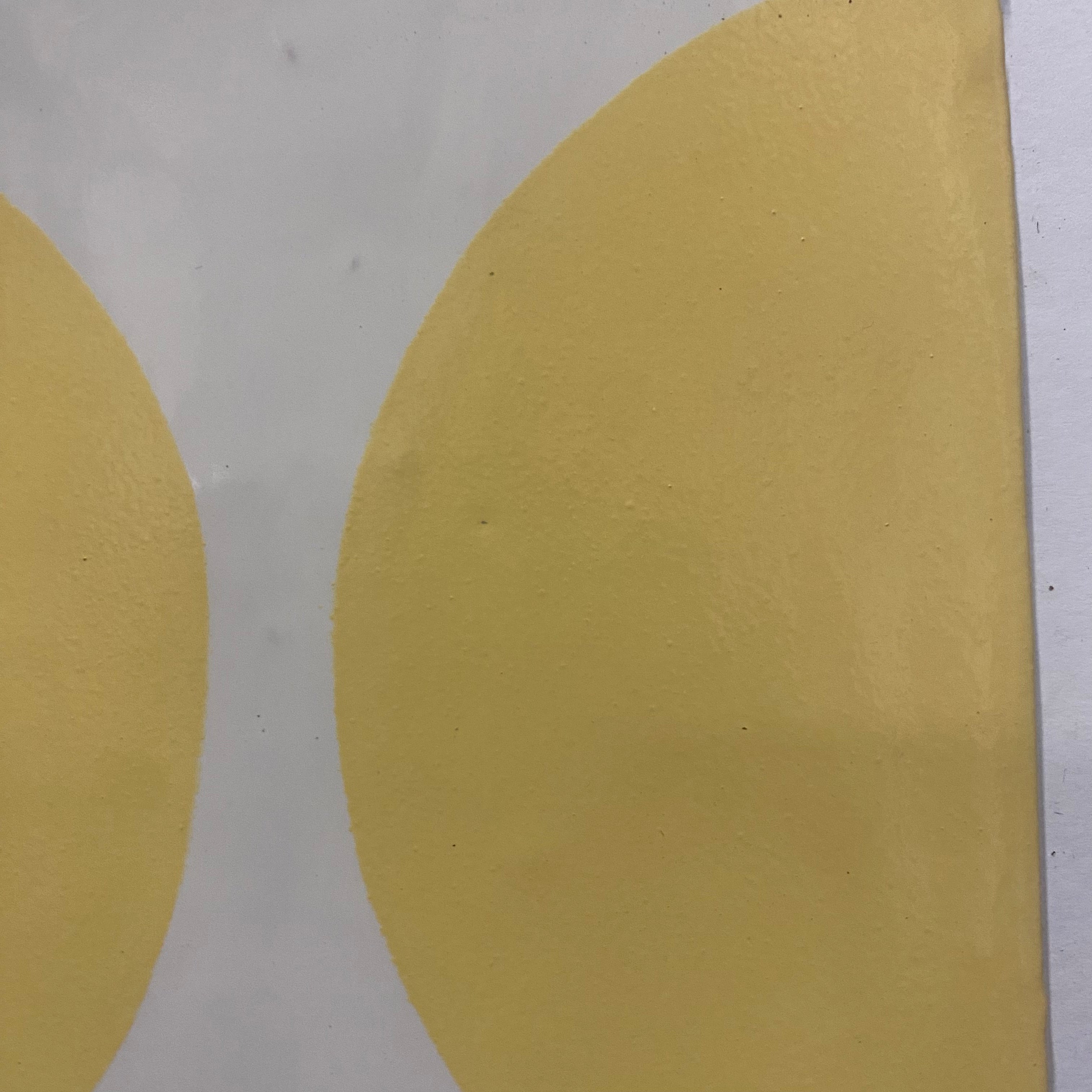 Seconds - Arc Primrose on English White