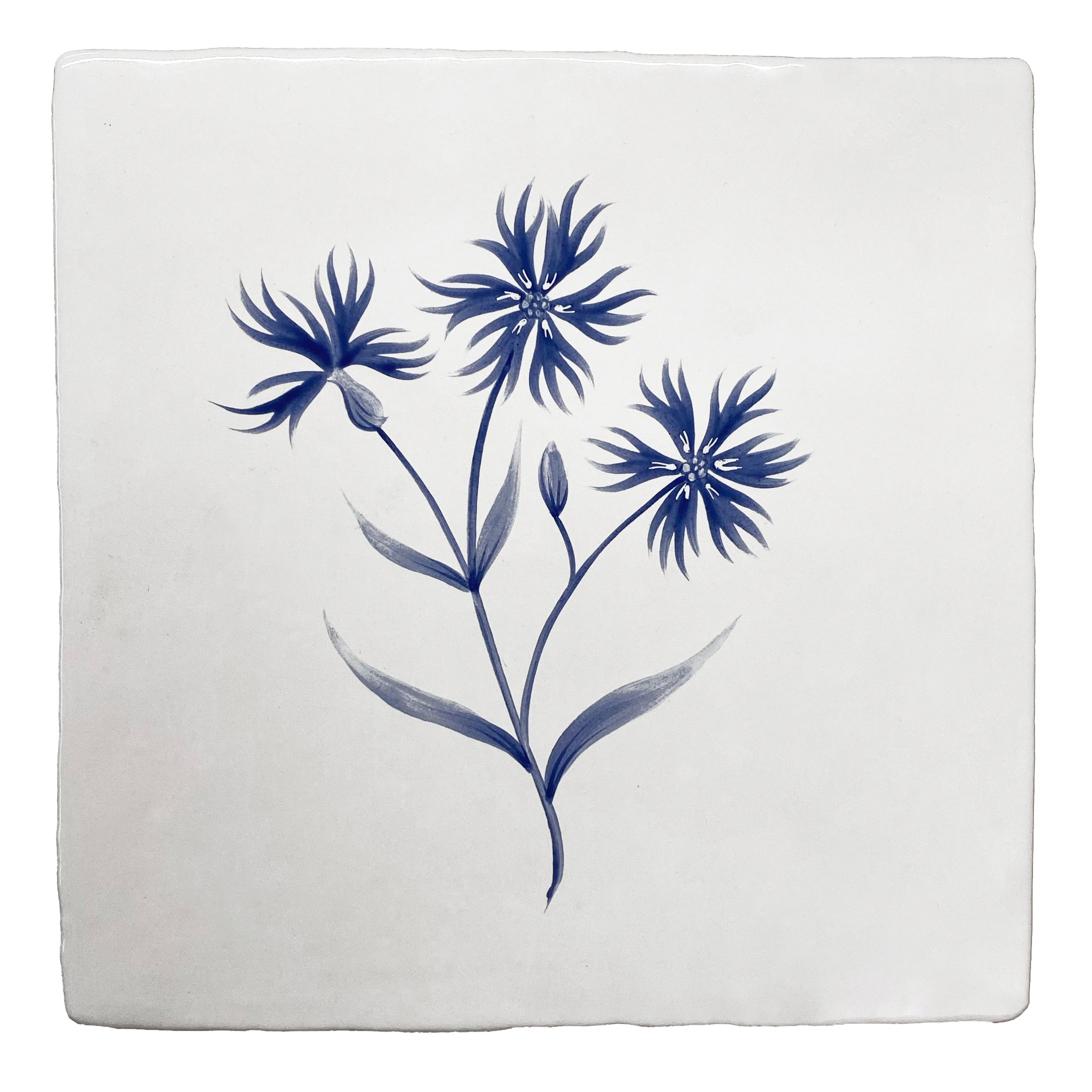 Cornish Meadow Ragged Robin in Blue