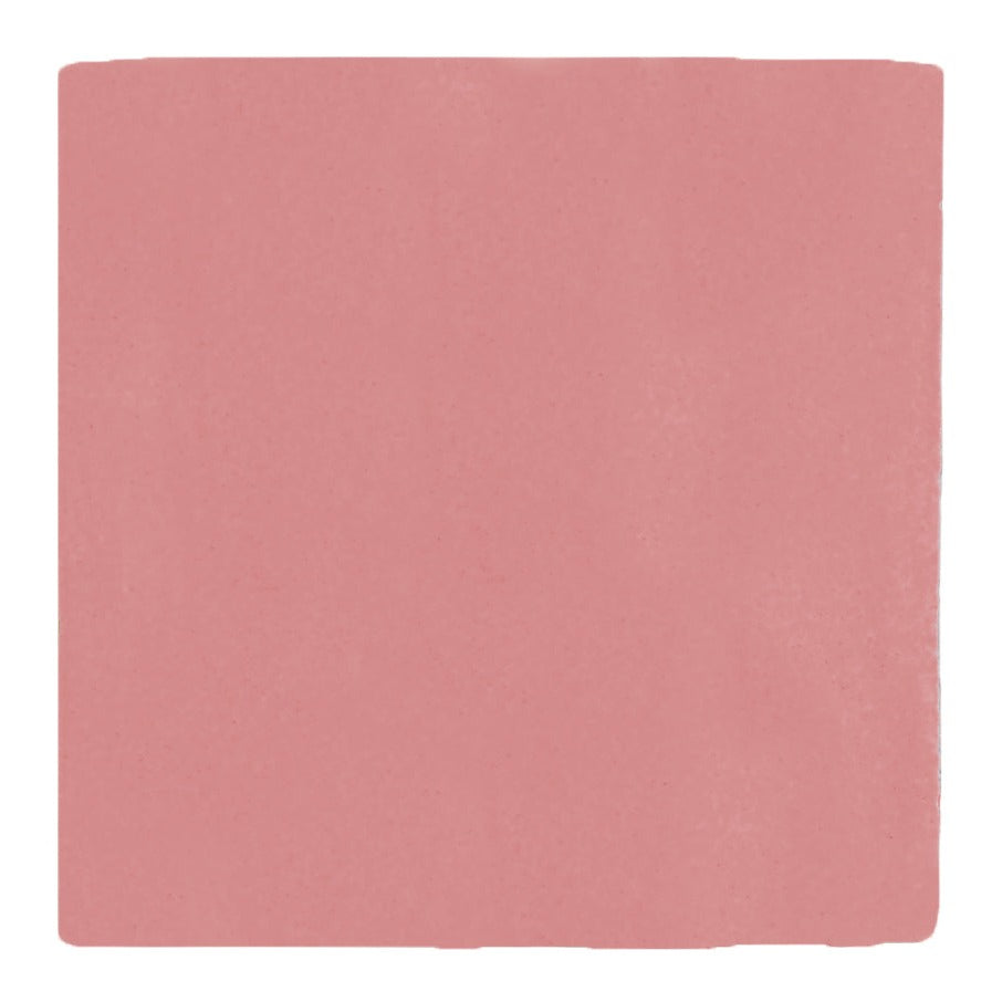 Plain Sailing Rose