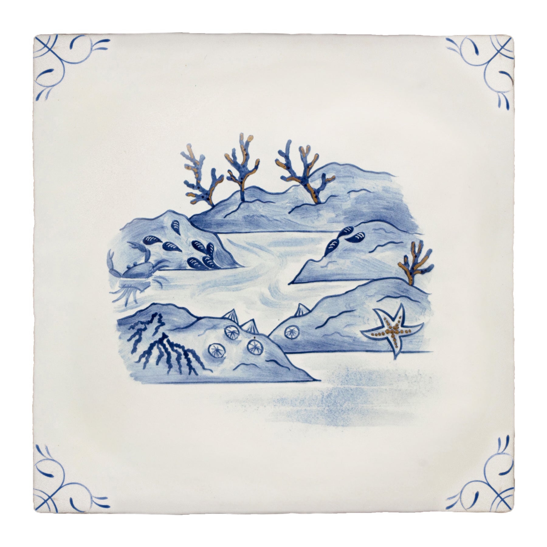 Wilderness Delft Rockpooling with Gold