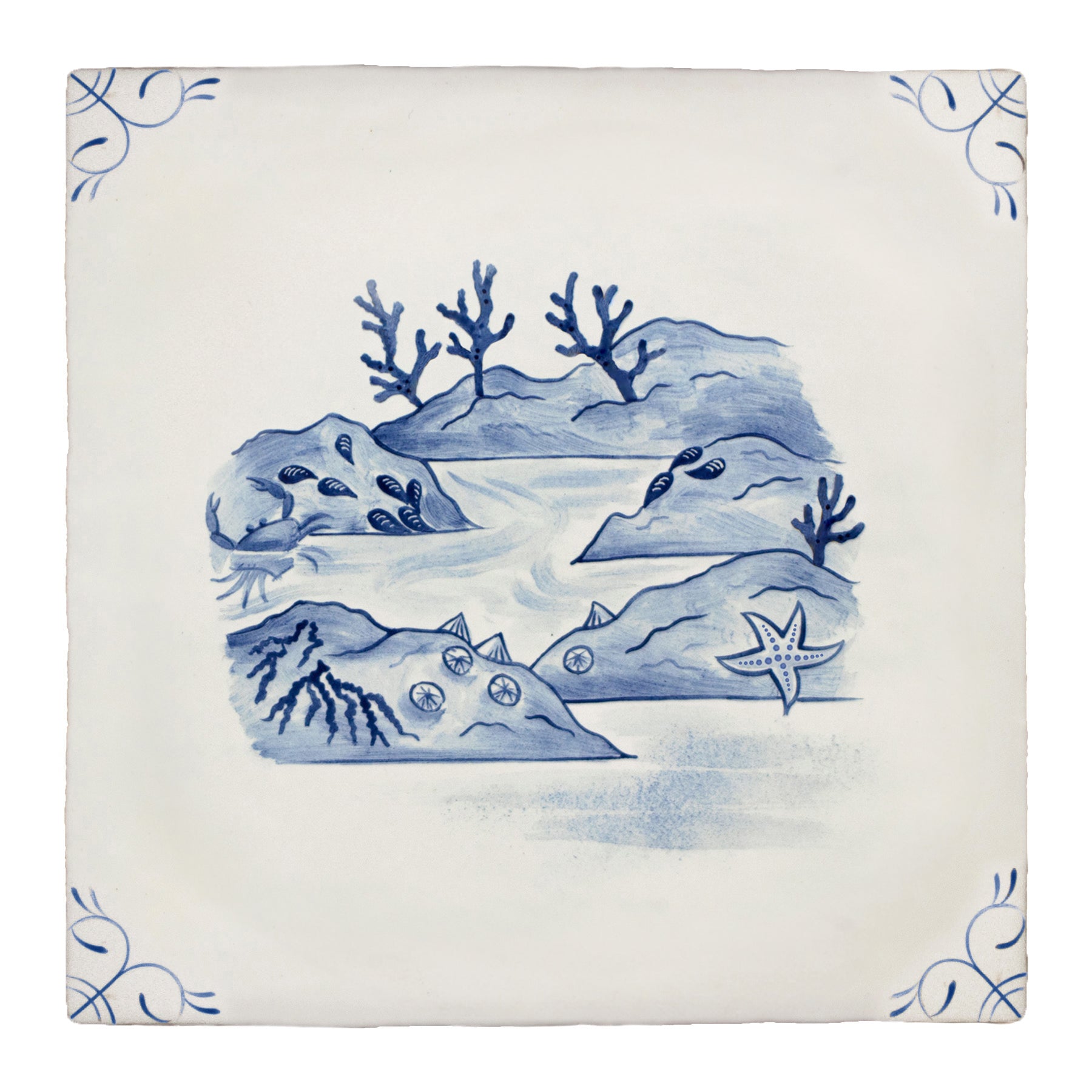 Wilderness Delft Rockpooling