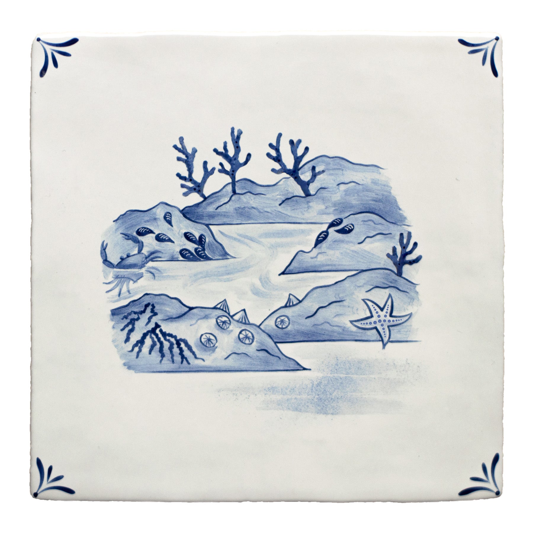Wilderness Delft Rockpooling
