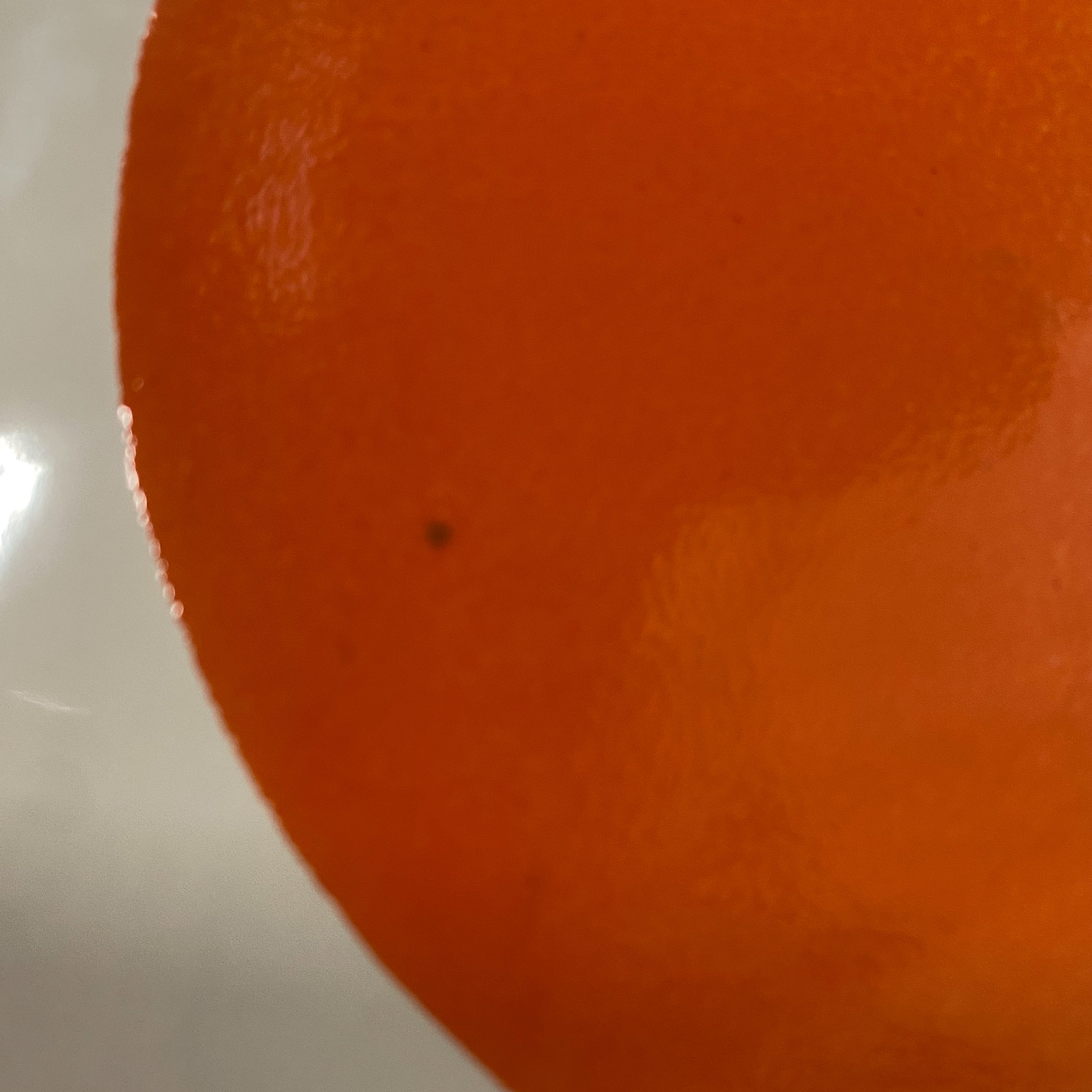 Seconds - Arc Satsuma on English