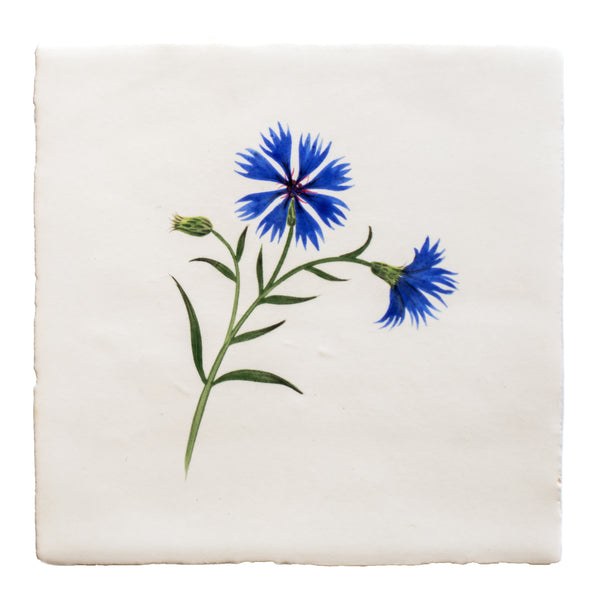 A blue Cornflower hand painted tile
