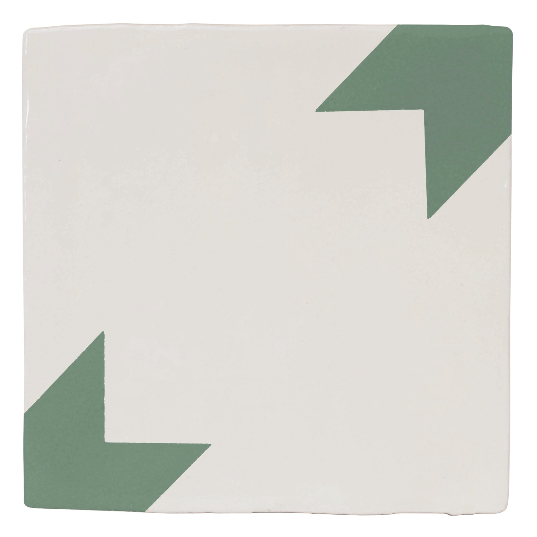 Stargazy Sea Green