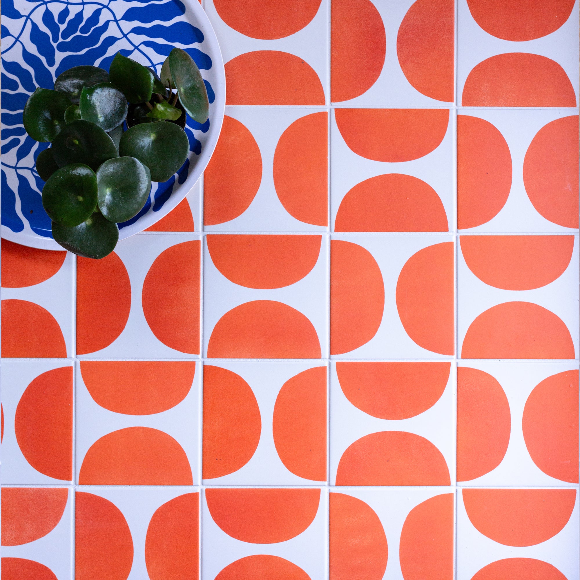 Arc Floor Satsuma