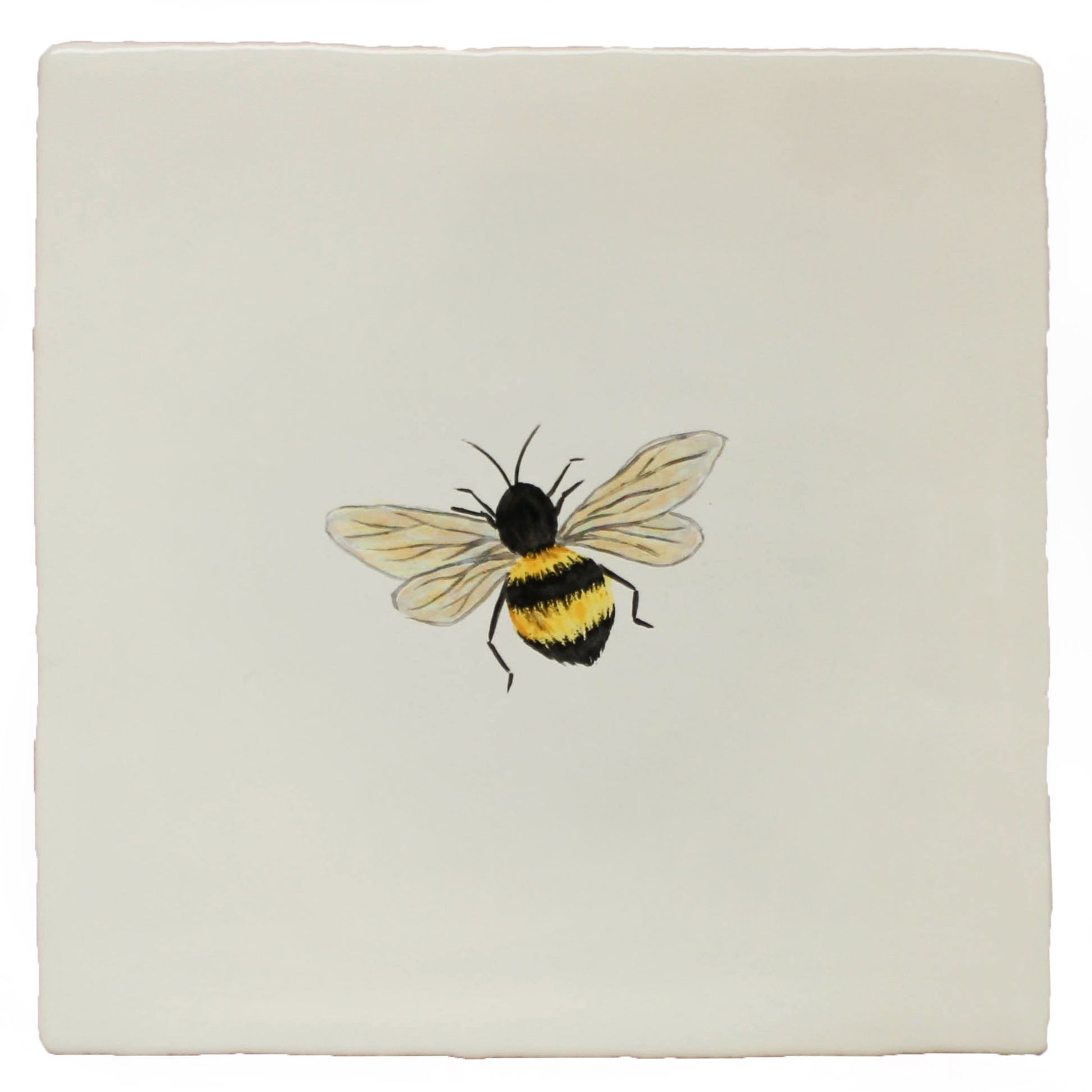 Garden Insect Flying Bee (left)