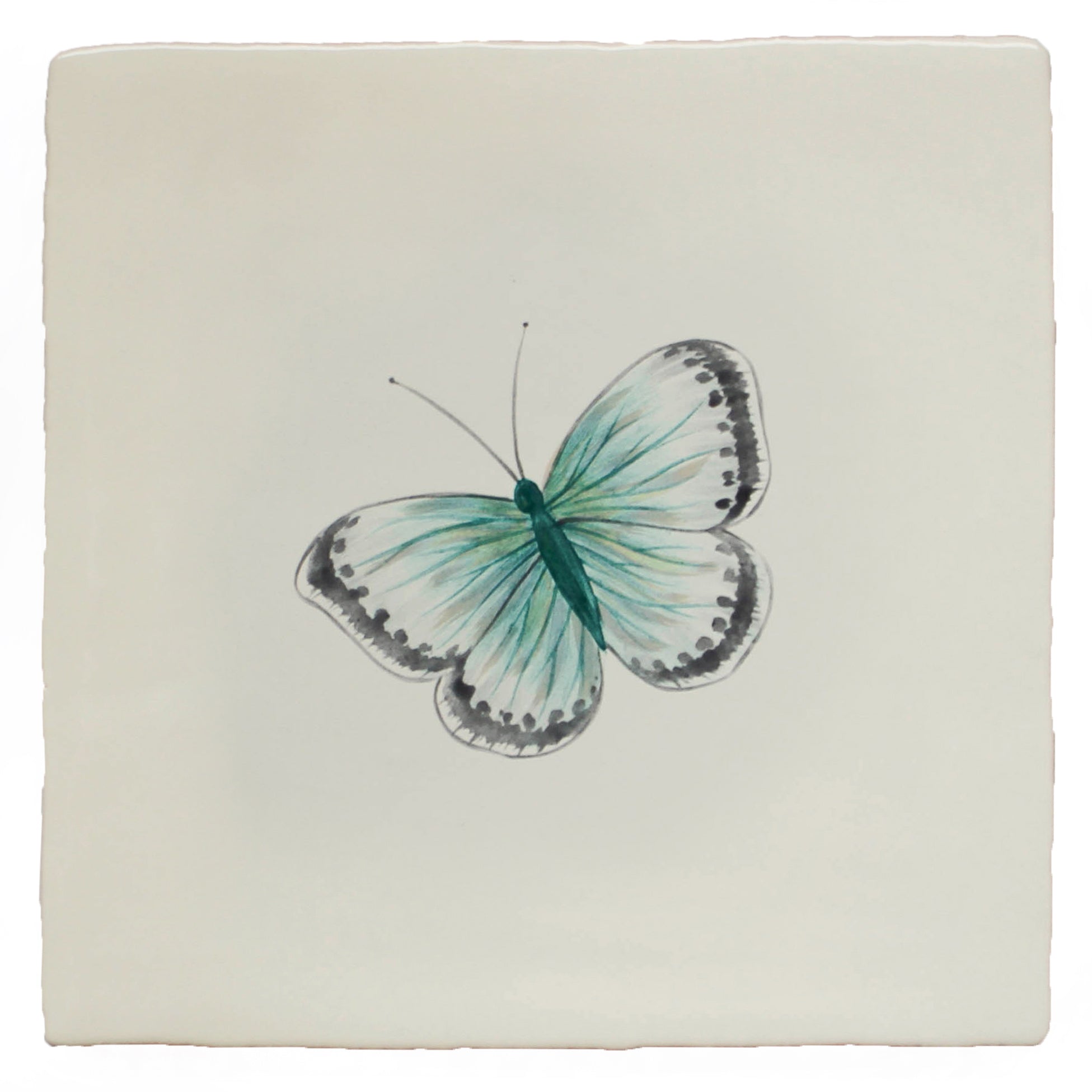 Garden Insect Chalk Blue Butterfly (left)