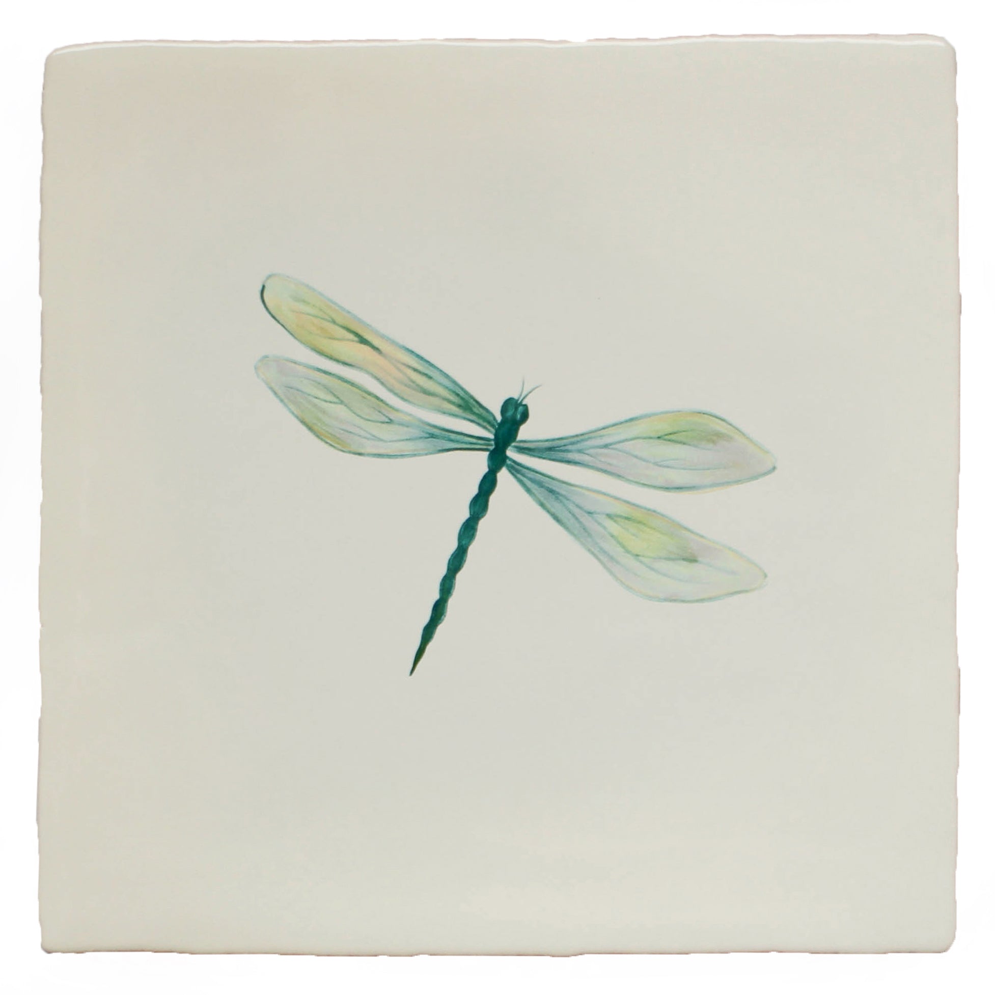 Garden Insect Dragonfly in Flight (right)
