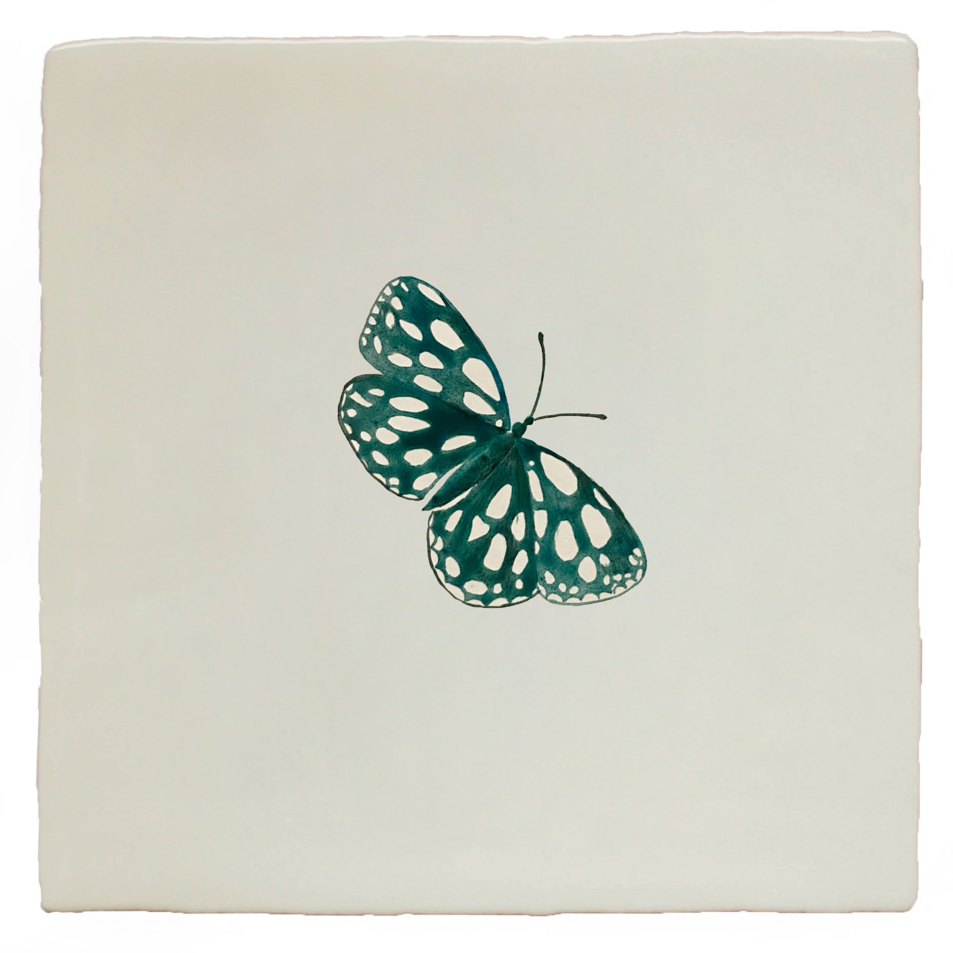 Garden Insect Marbled Butterfly (right)