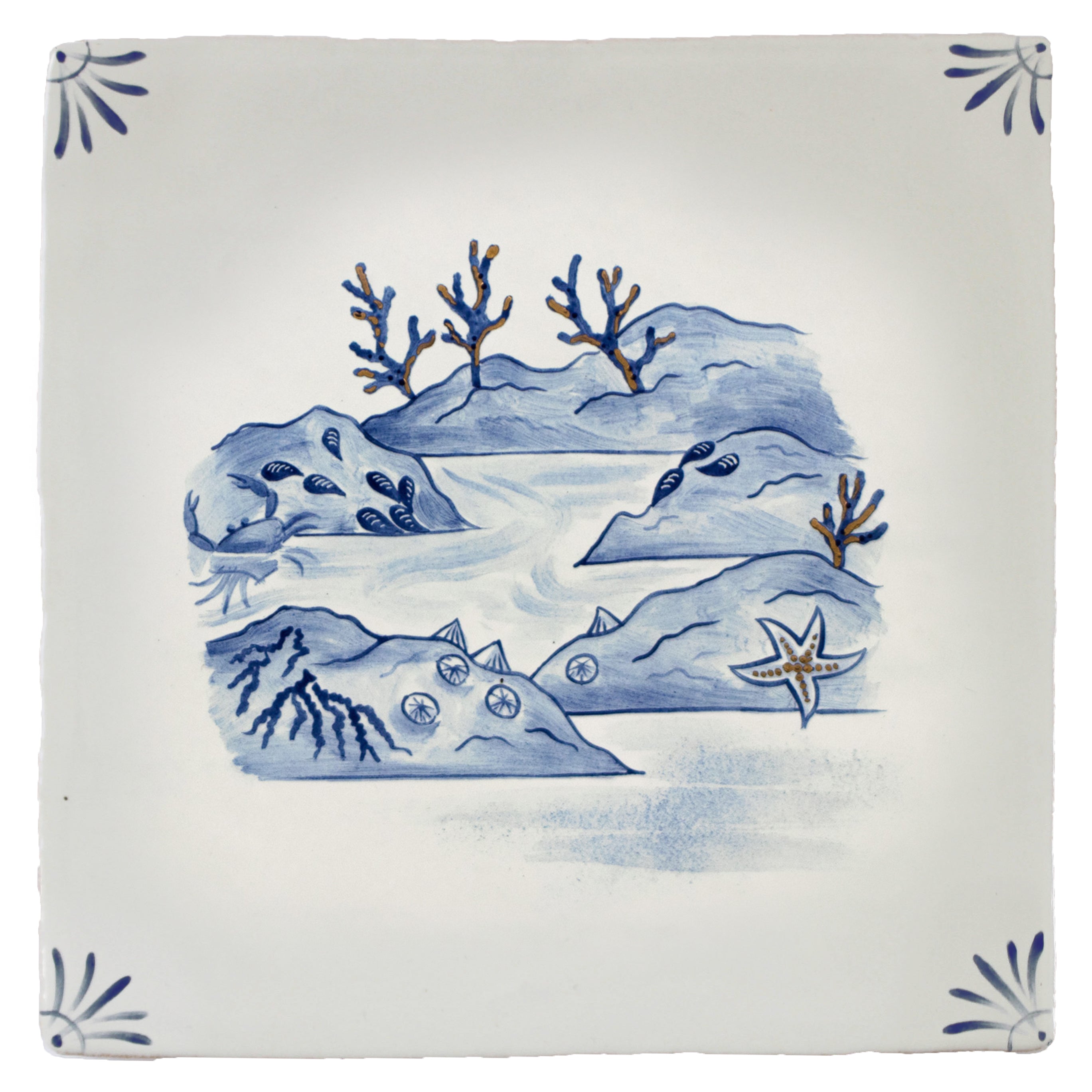Wilderness Delft Rockpooling with Gold