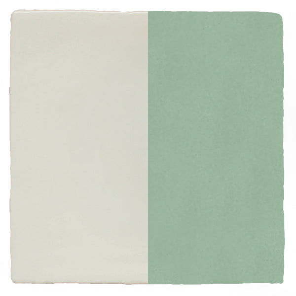 Half Plain Sailing Fern