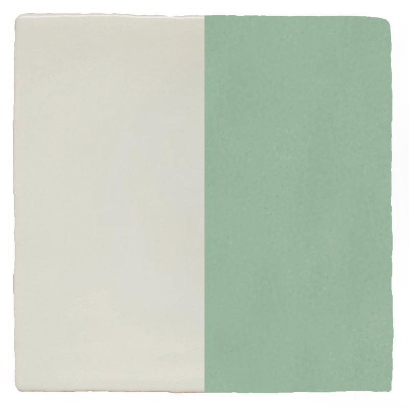 Half Plain Sailing Fern