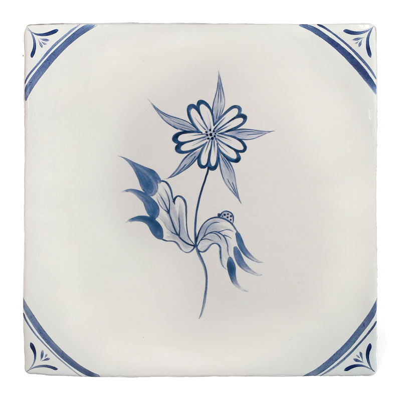 Flora Delft Star Flower