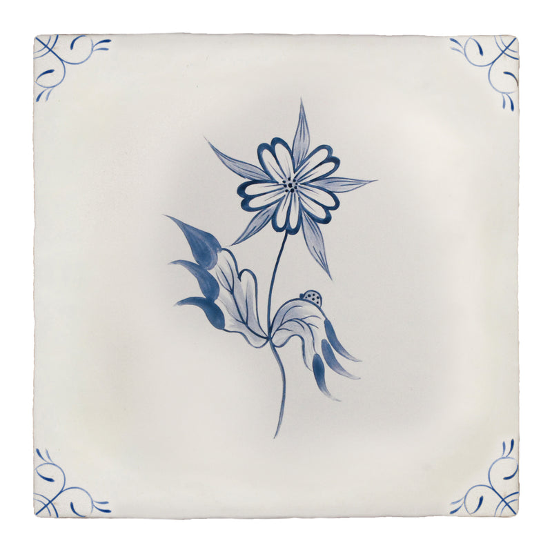 Flora Delft Star Flower