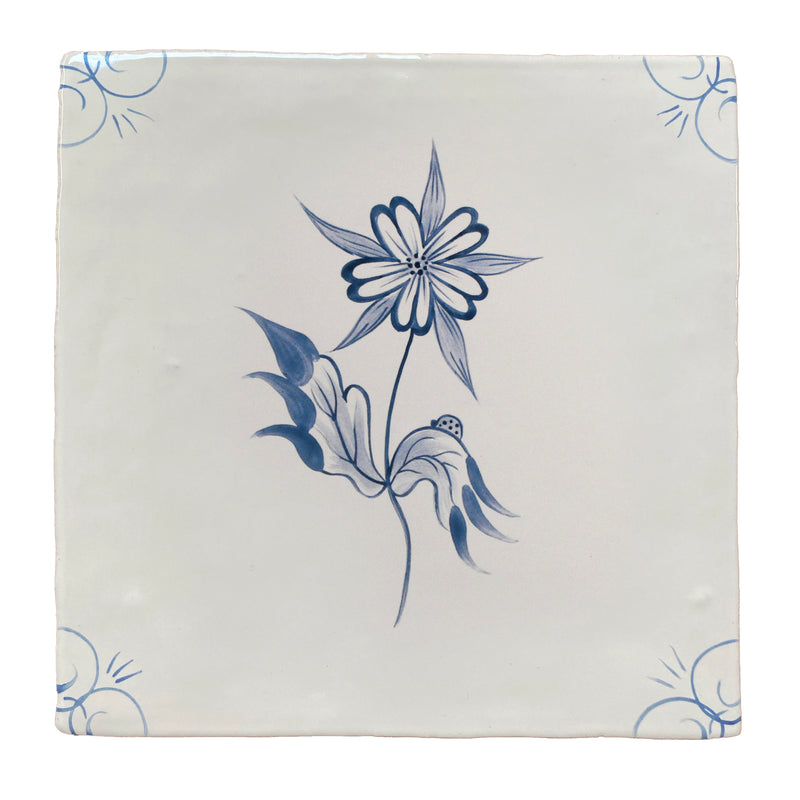 Flora Delft Star Flower