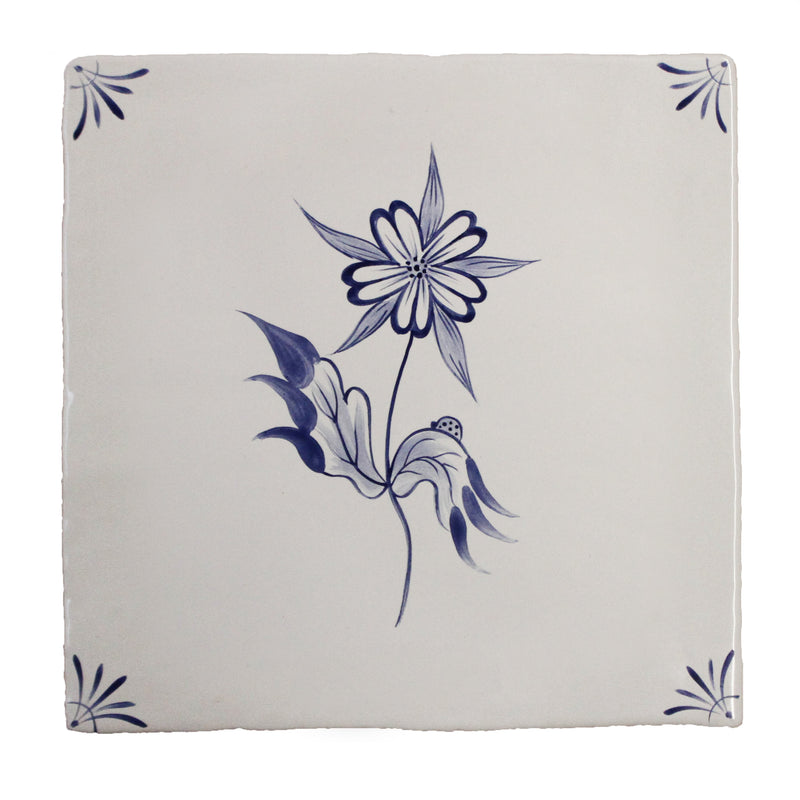 Flora Delft Star Flower