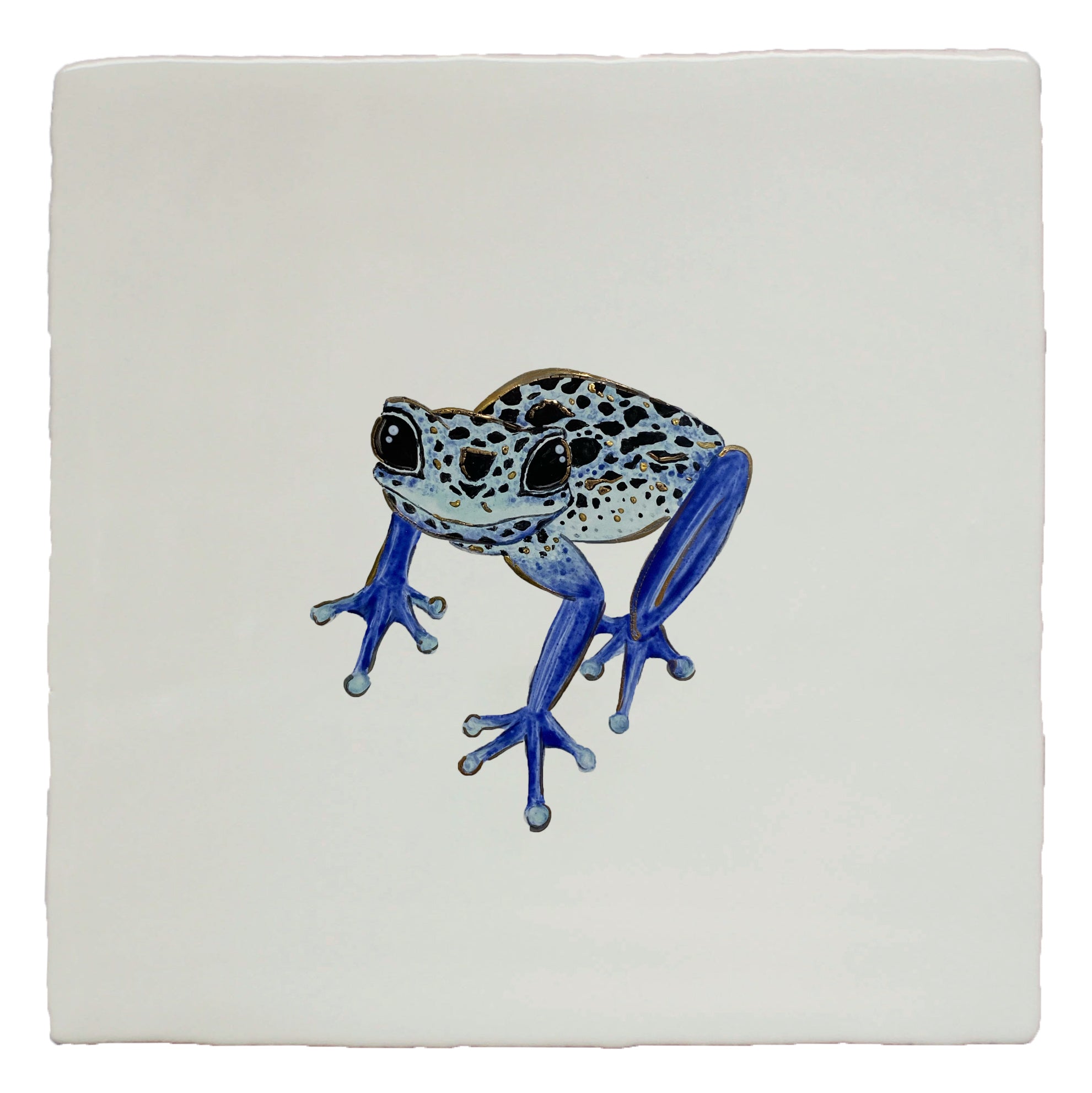 Poison Dart Frog (left)