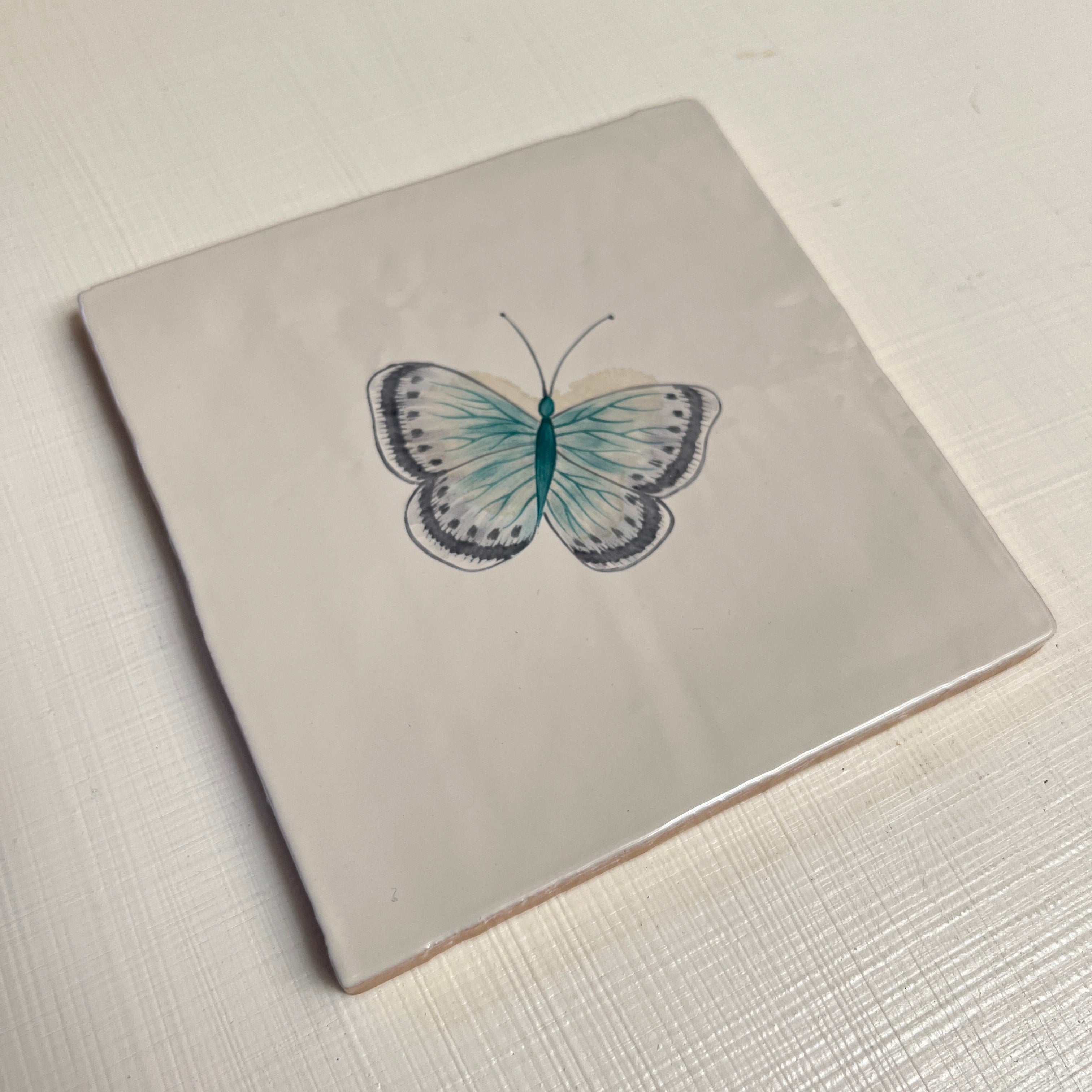 Seconds - Garden Insect Chalk Blue Butterfly on English (Right)
