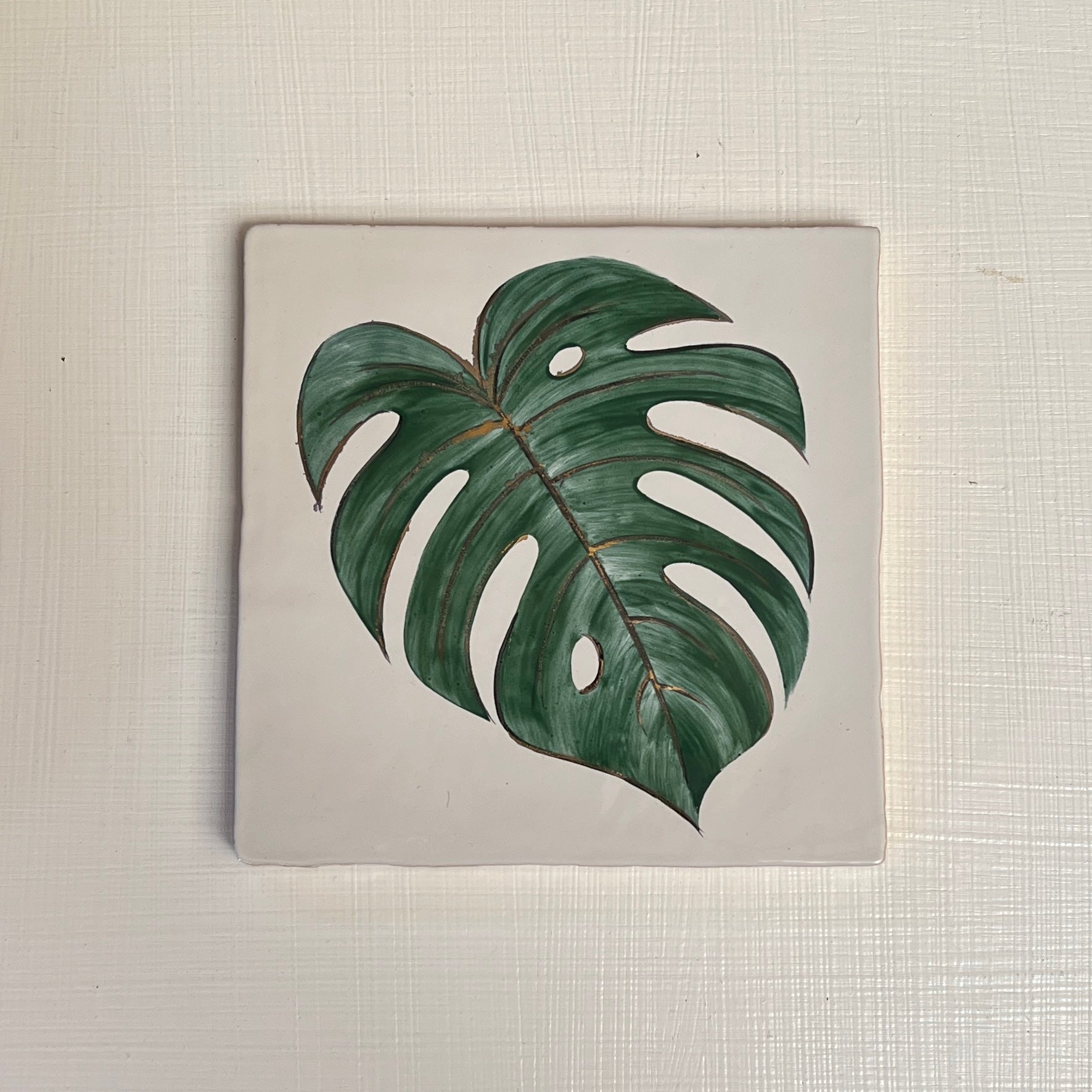 Seconds - Glasshouse Monstera On English