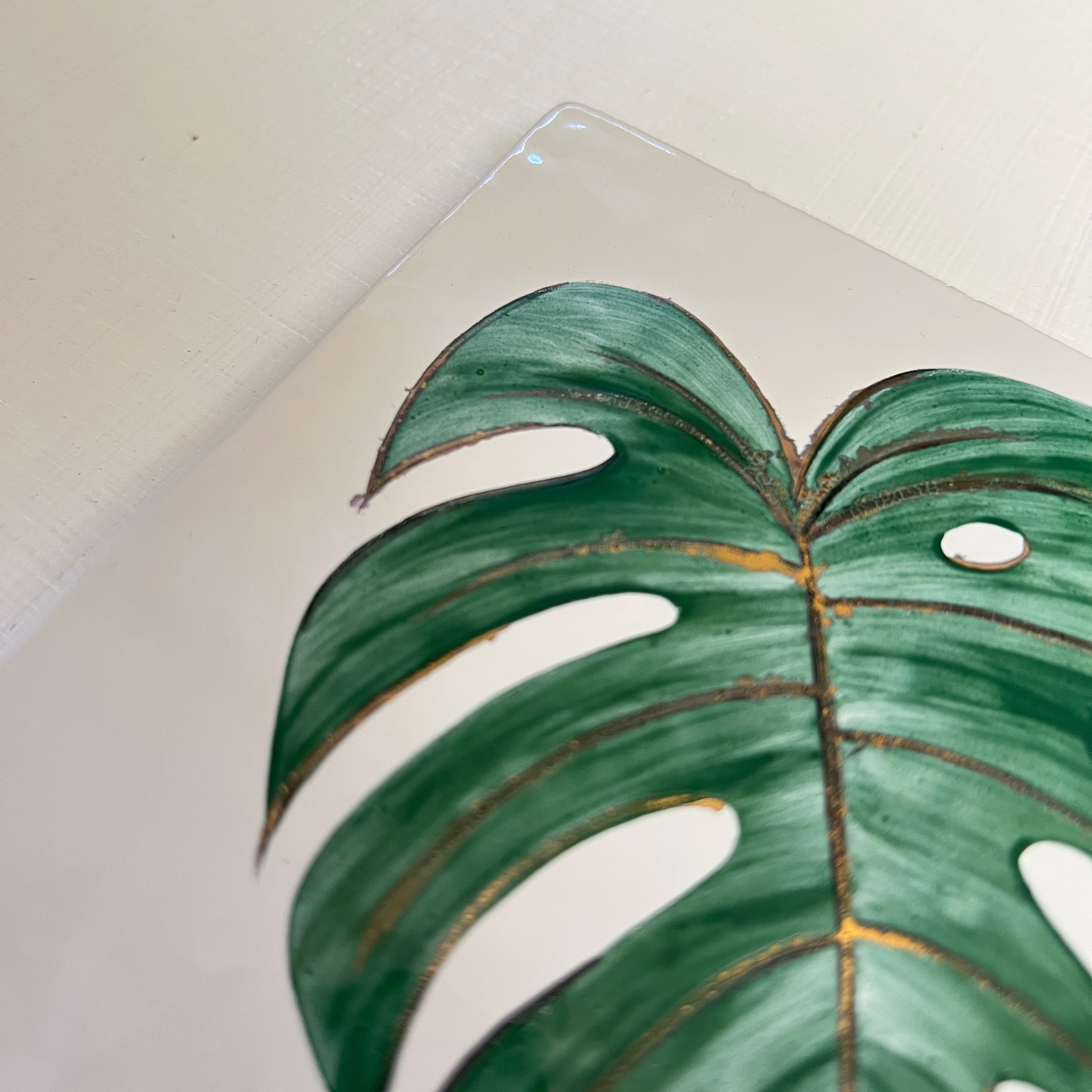 Seconds - Glasshouse Monstera On English