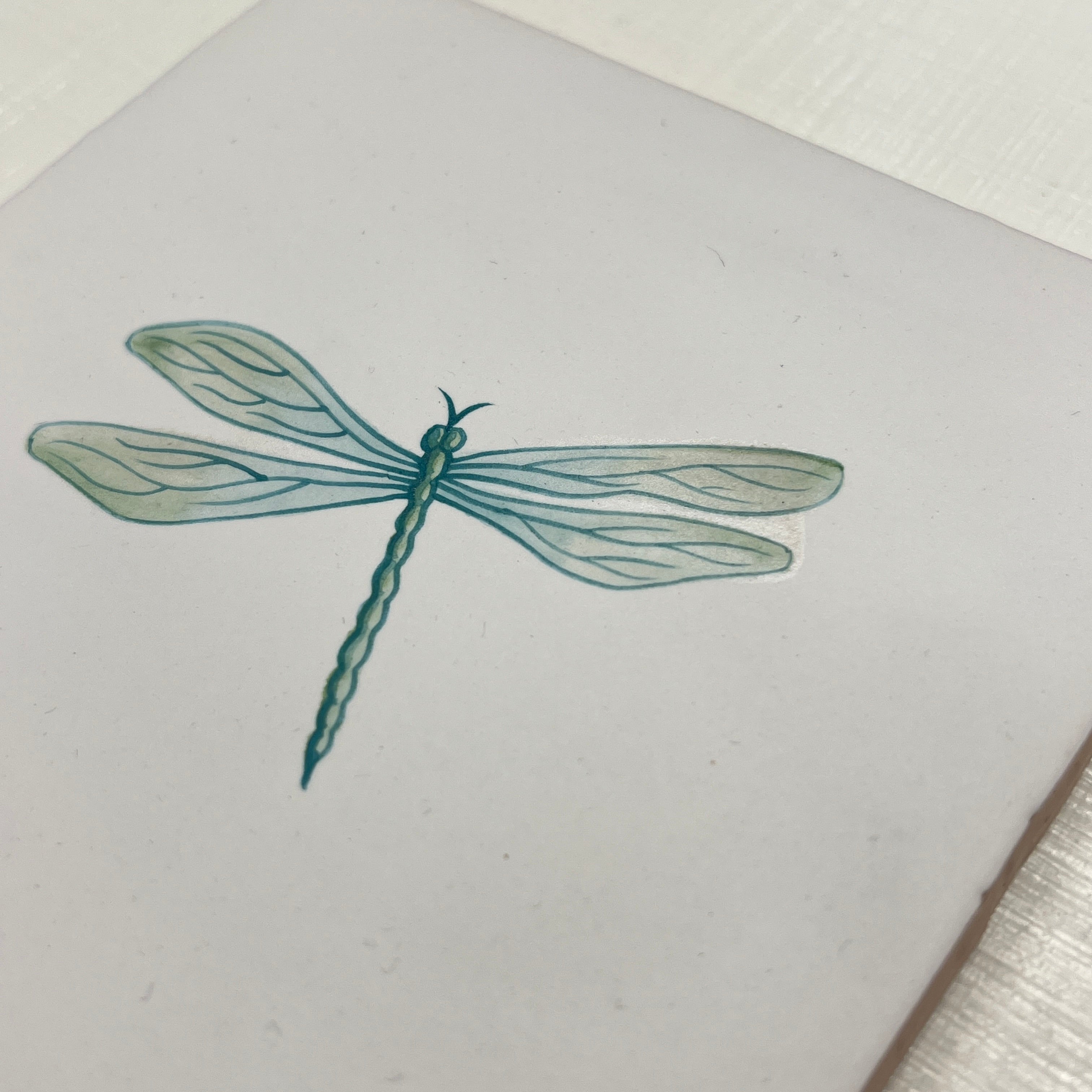 Seconds - Large Dragonfly on Chalk (Left)