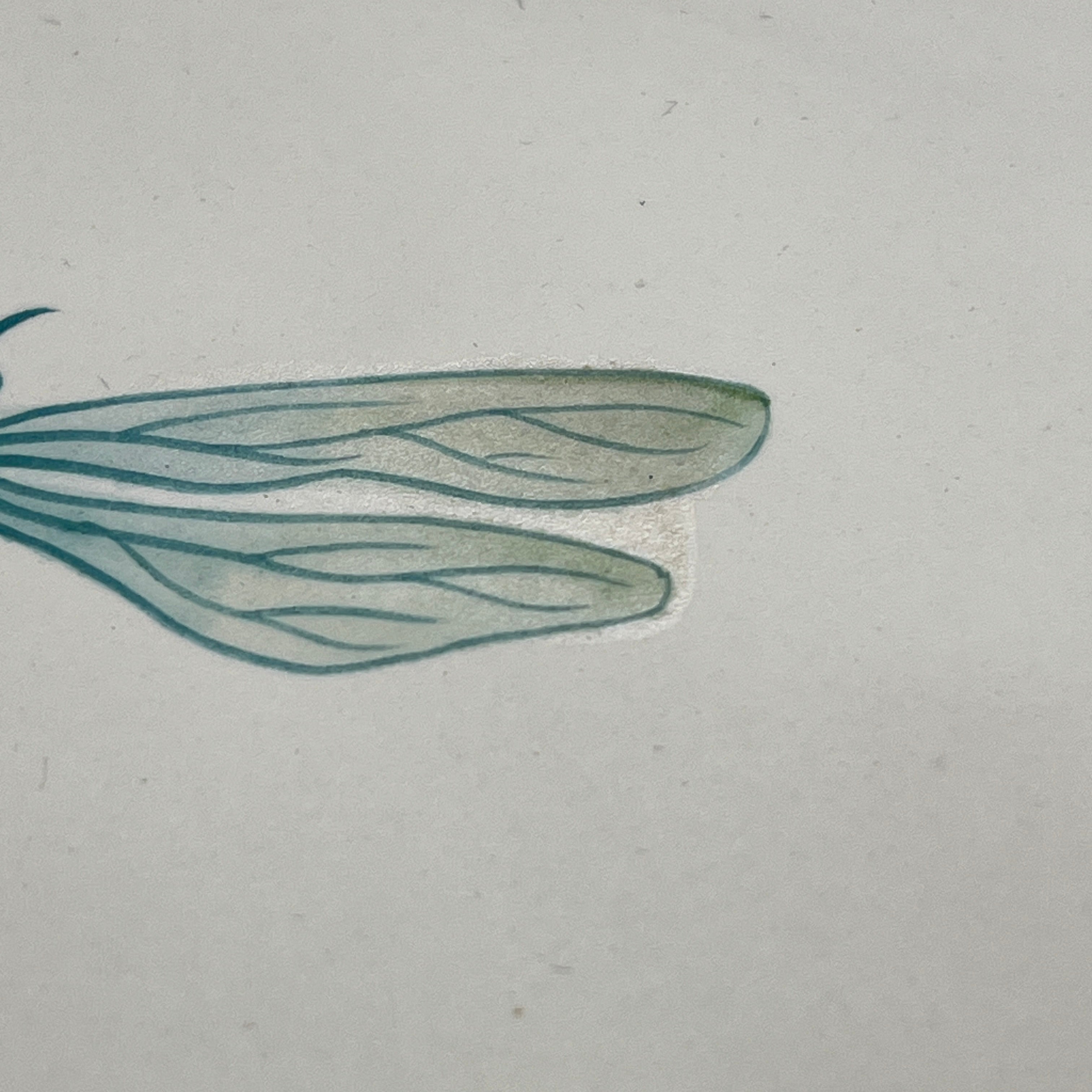 Seconds - Large Dragonfly on Chalk (Left)