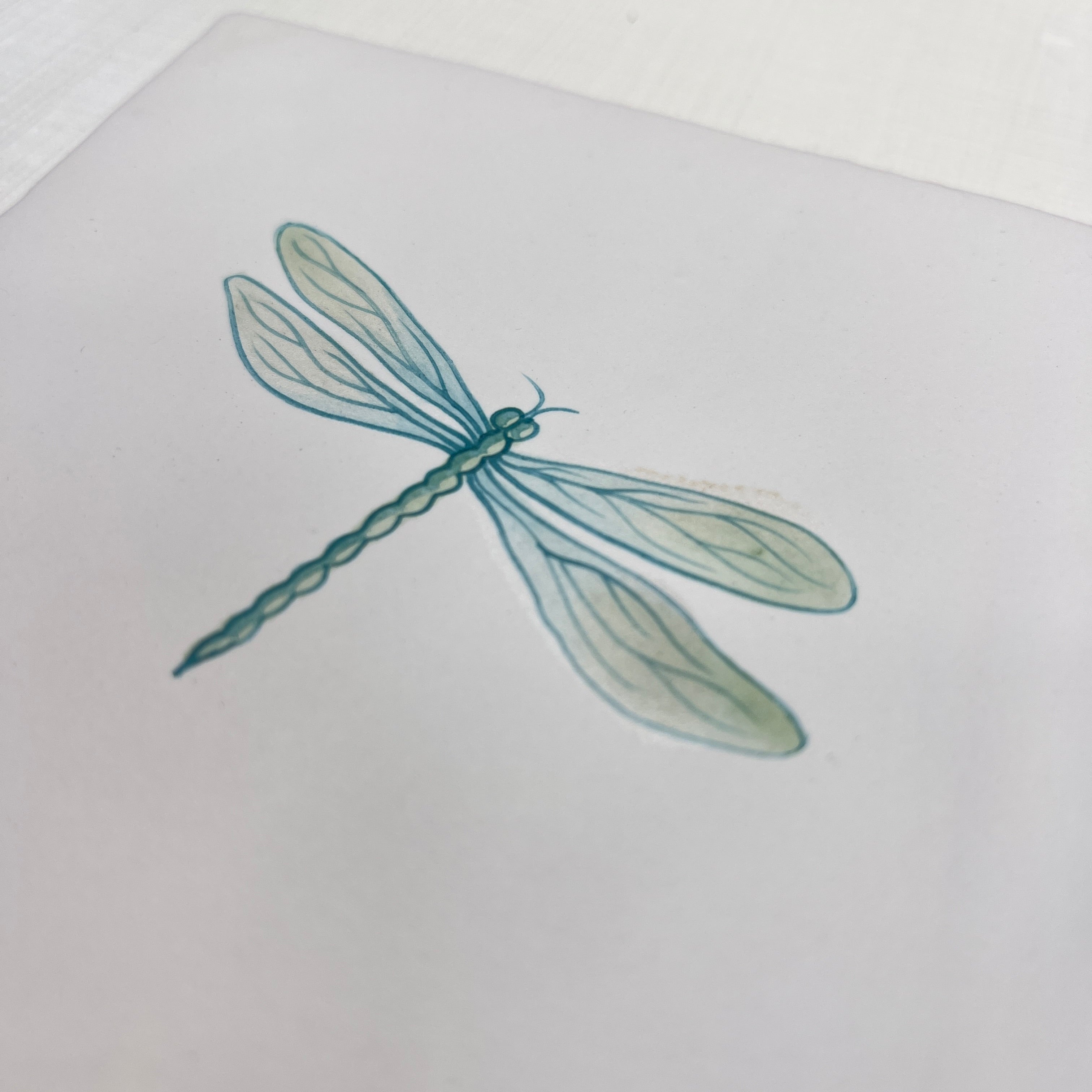 Seconds - Large Dragonfly on Chalk (Right)
