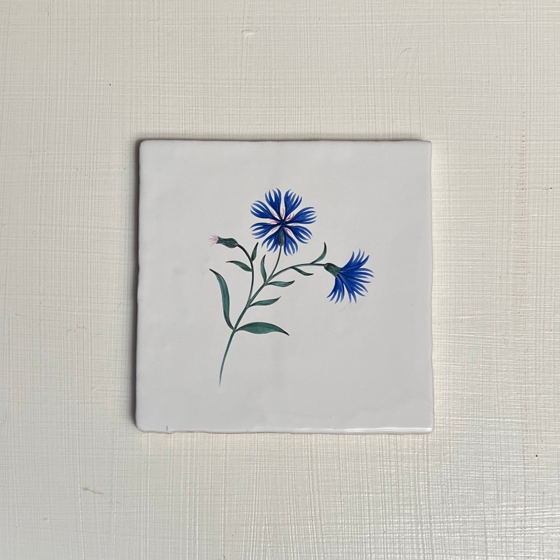 Seconds - Cornish Meadow Cornflower On Cornish
