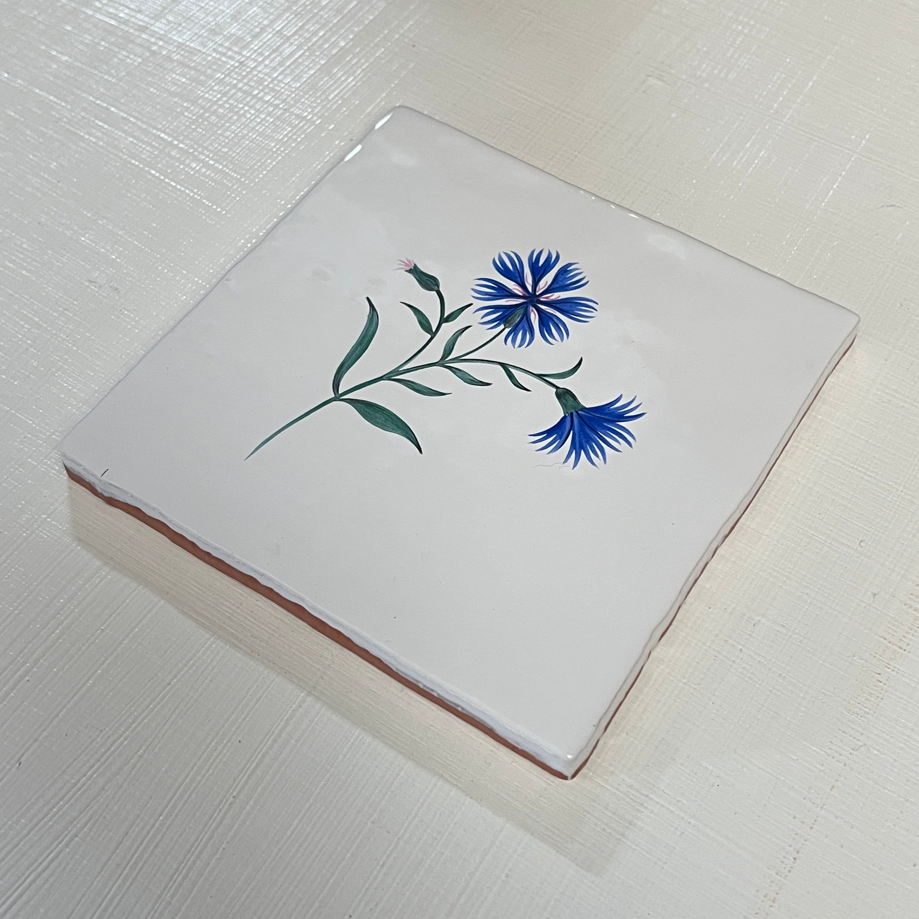 Seconds - Cornish Meadow Cornflower On Cornish