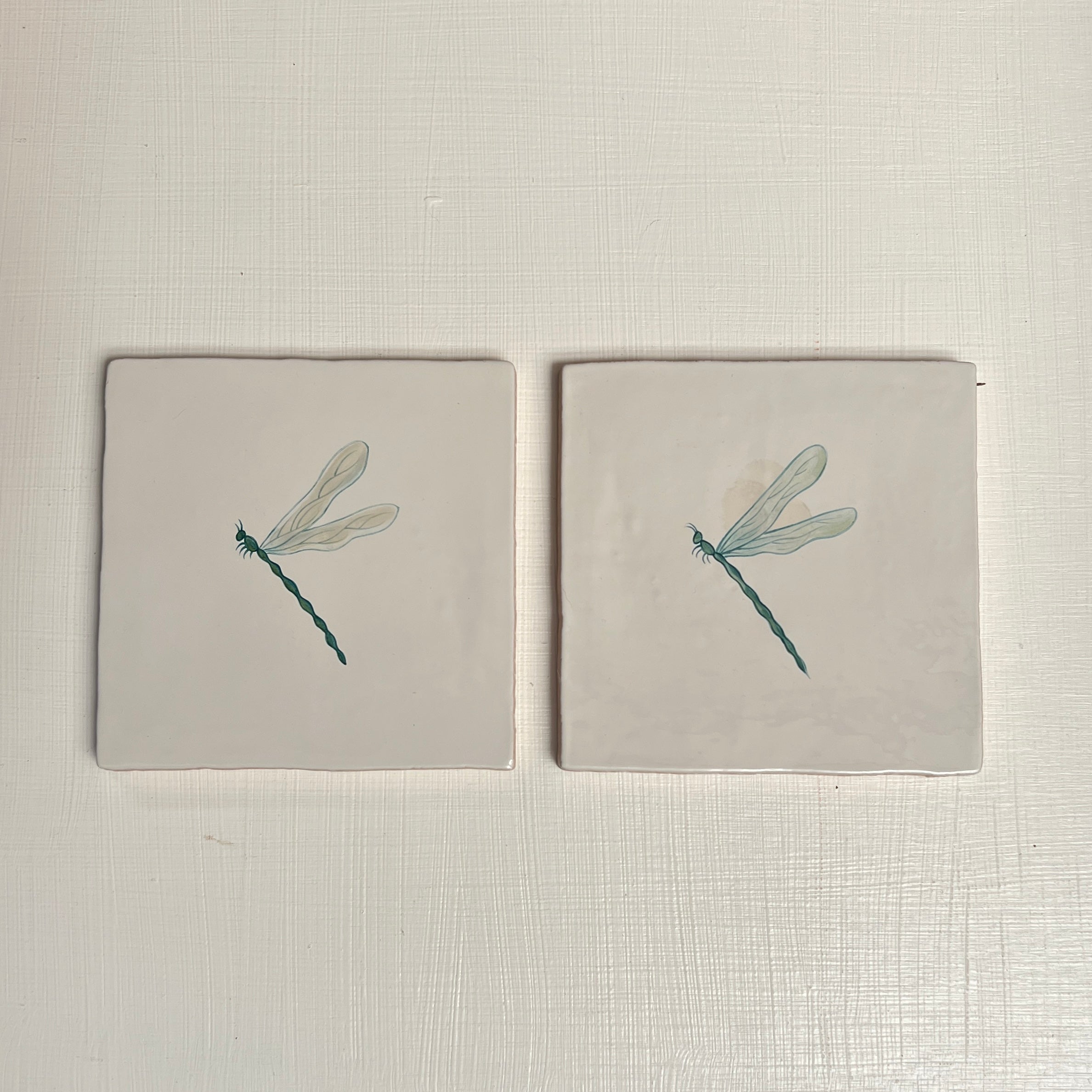 Seconds - Resting Dragonfly On English (Left)