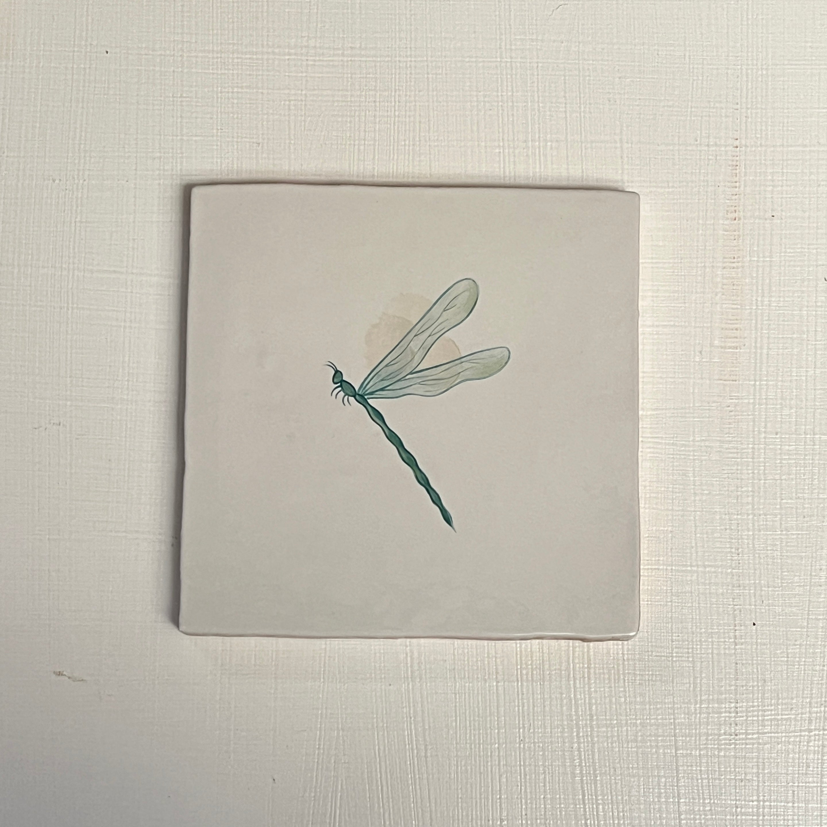 Seconds - Resting Dragonfly On English (Left)