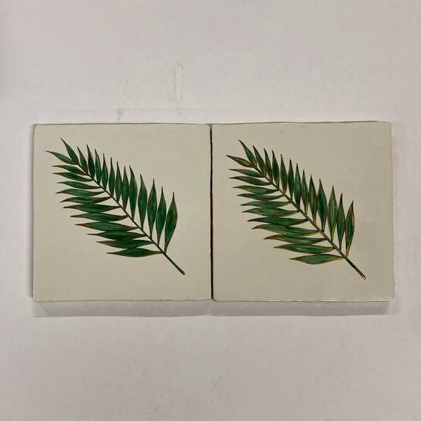 Seconds - Glasshouse Boston Fern Set on English