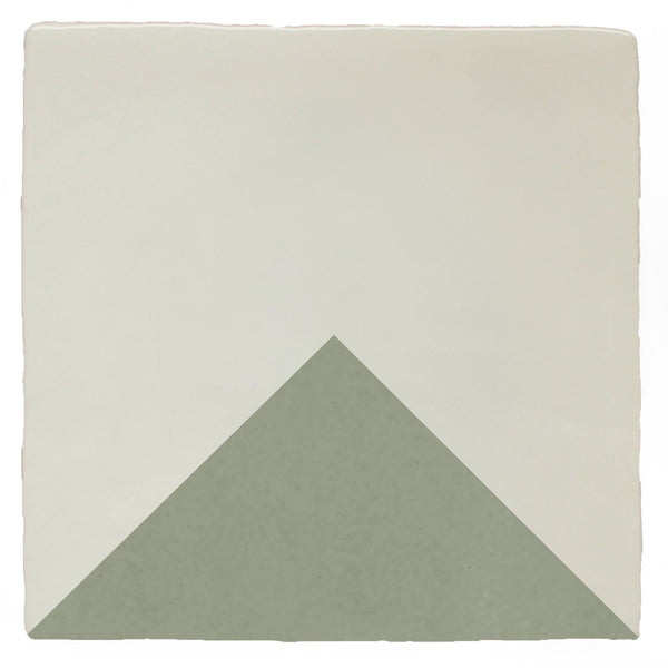 Quarter Signal Lichen