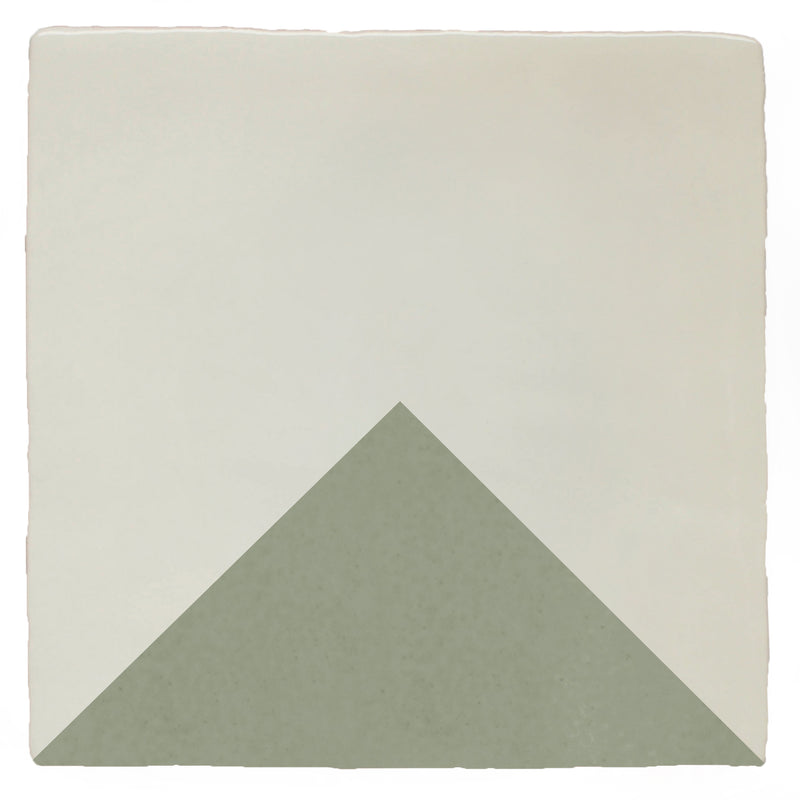 Quarter Signal Lichen