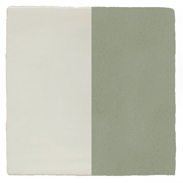 Half Plain Sailing Lichen